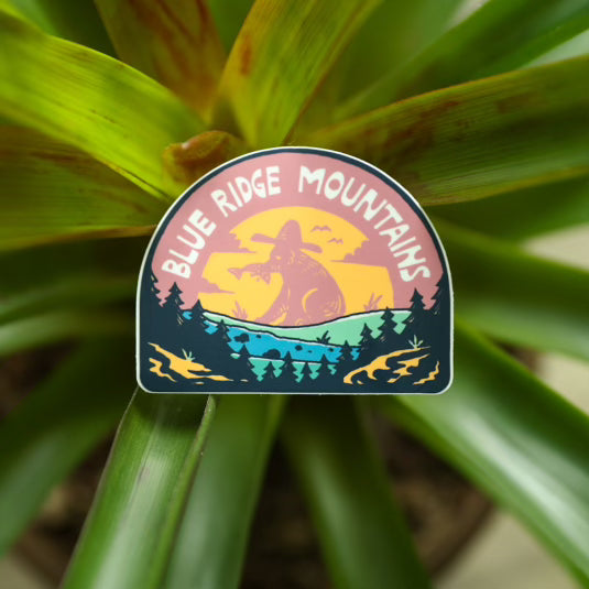 A Blue Ridge Hat Bear