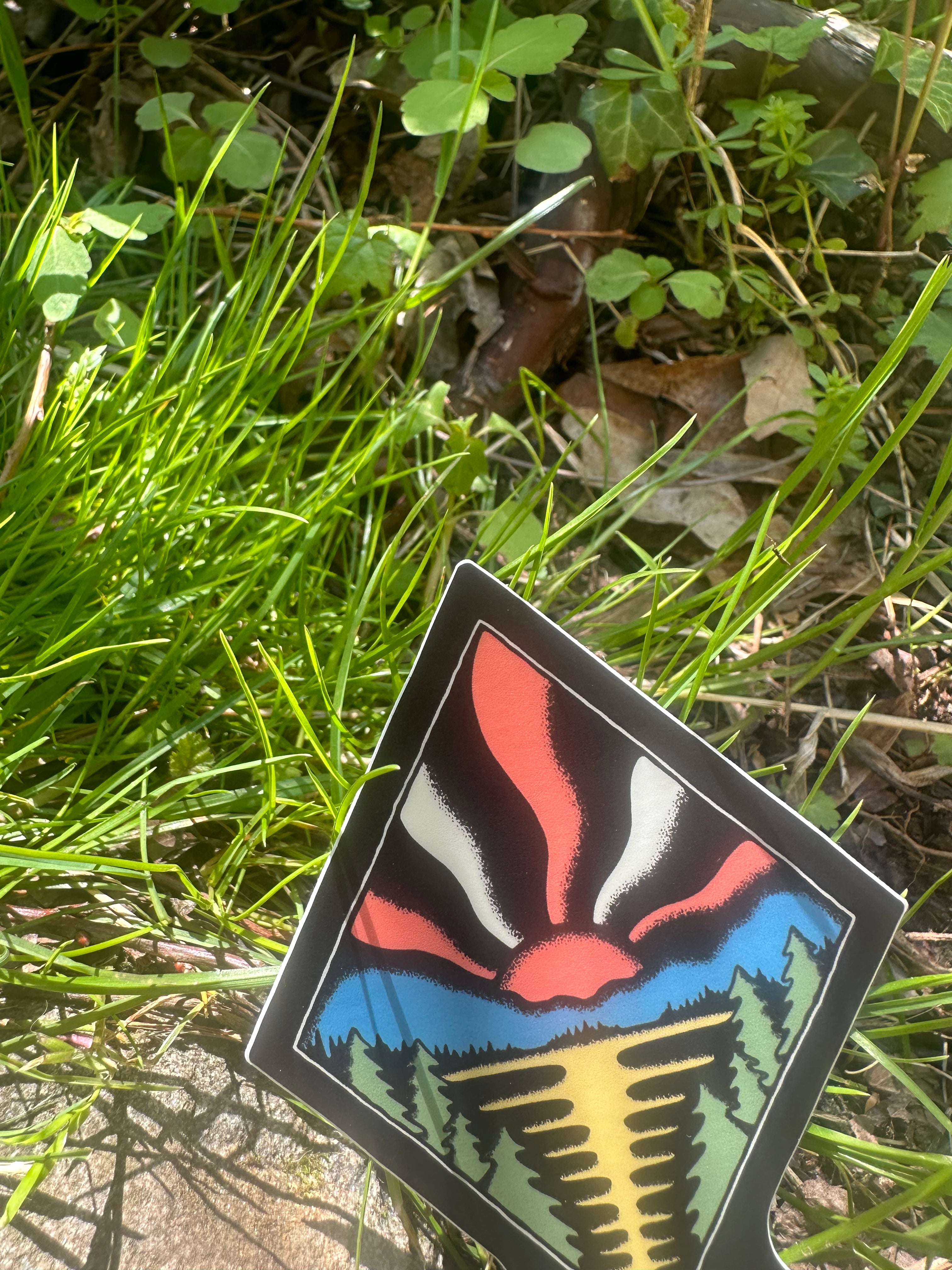 A Lake Forest Diamond (Michigan)