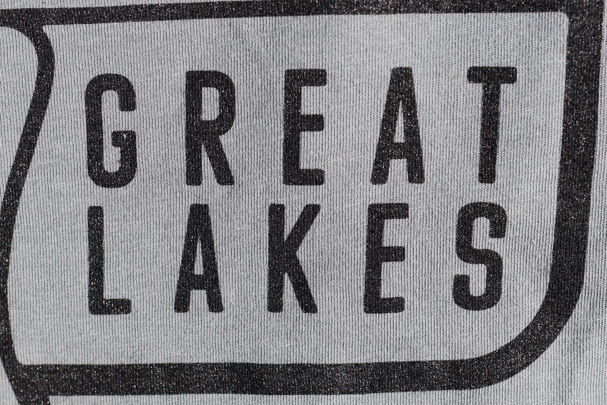 A Great Lakes Fish Tee