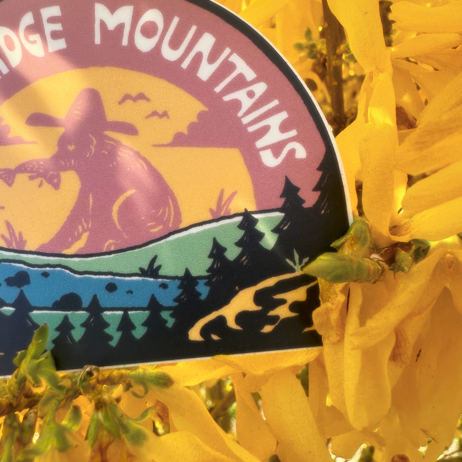 A Blue Ridge Hat Bear - menottees