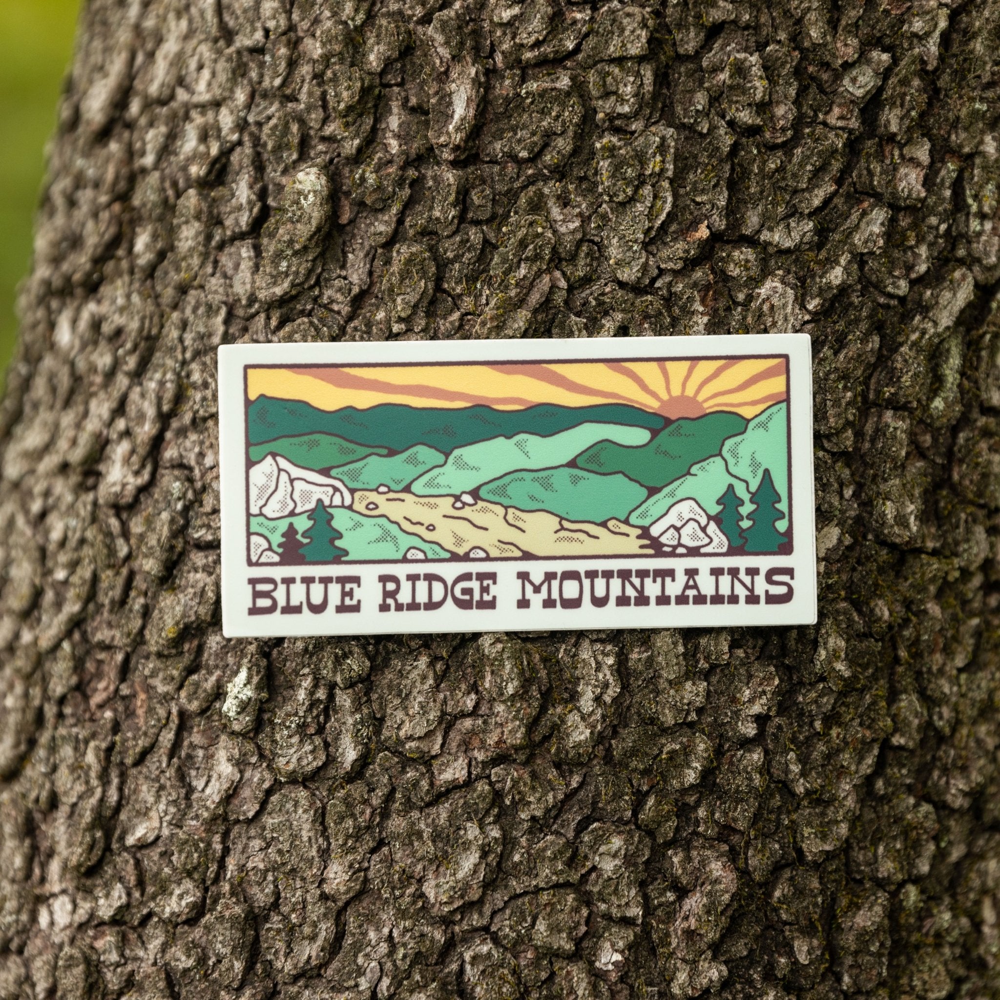 A Blue Ridge Trail - menottees