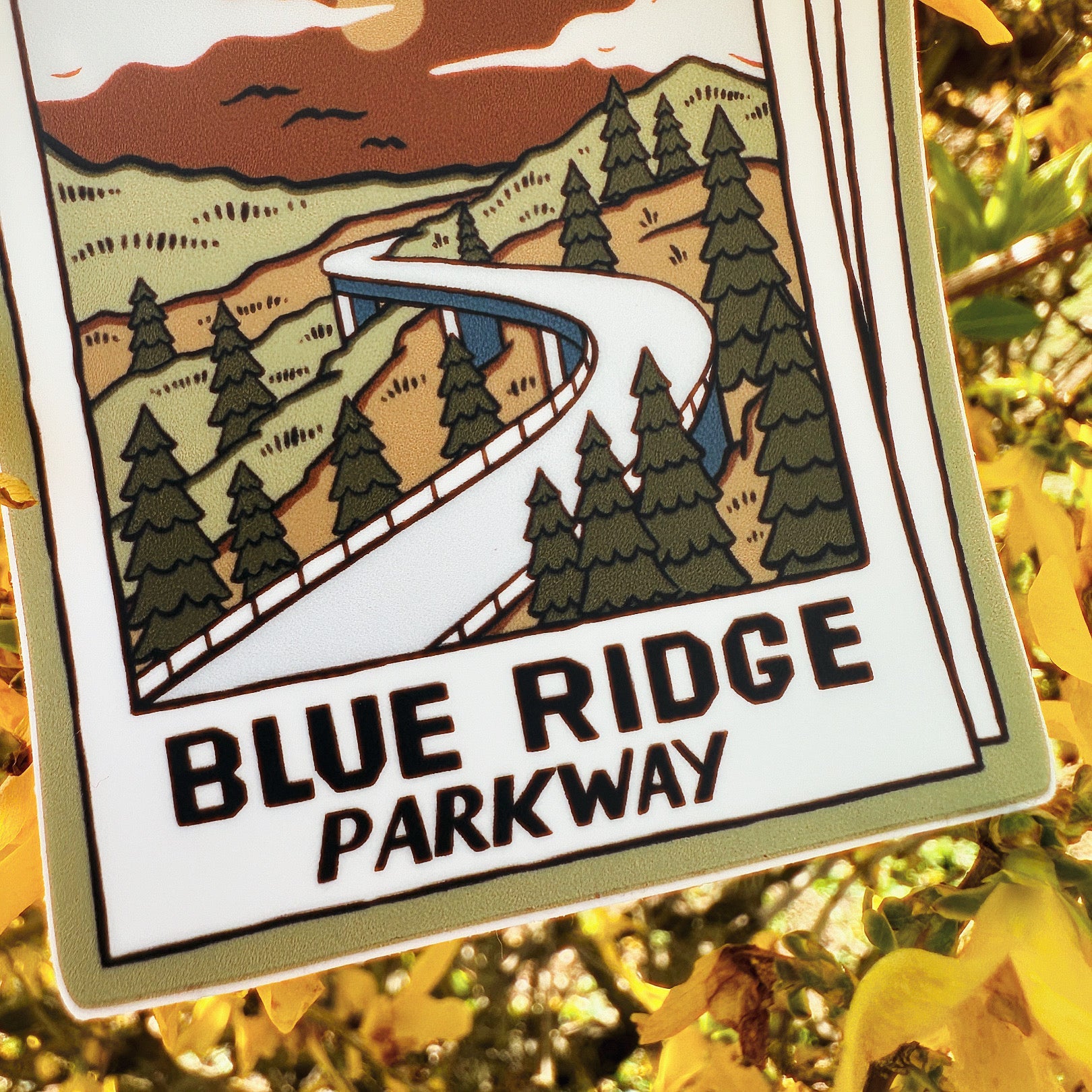 A Parkway Day Picture - menottees