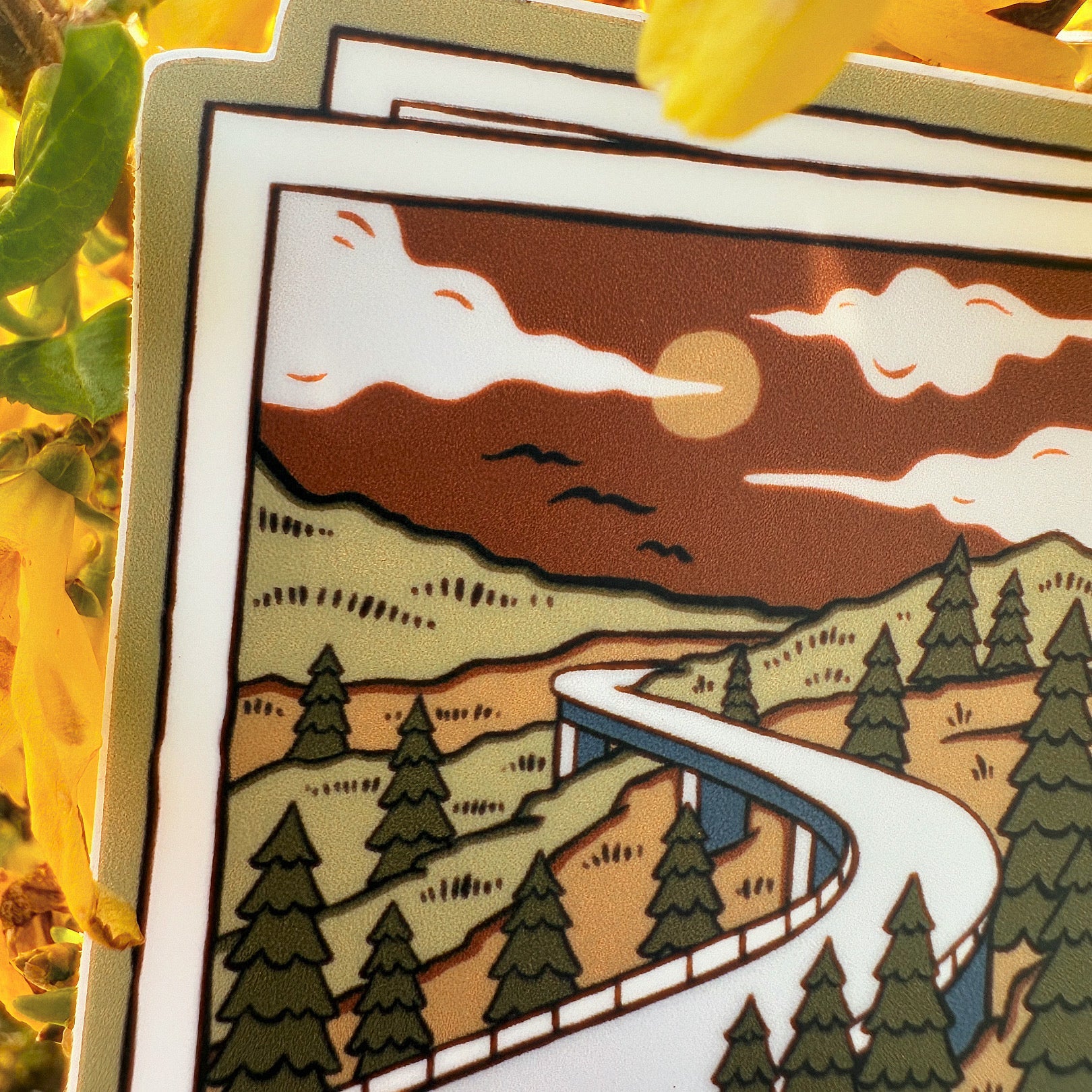 A Parkway Day Picture - menottees