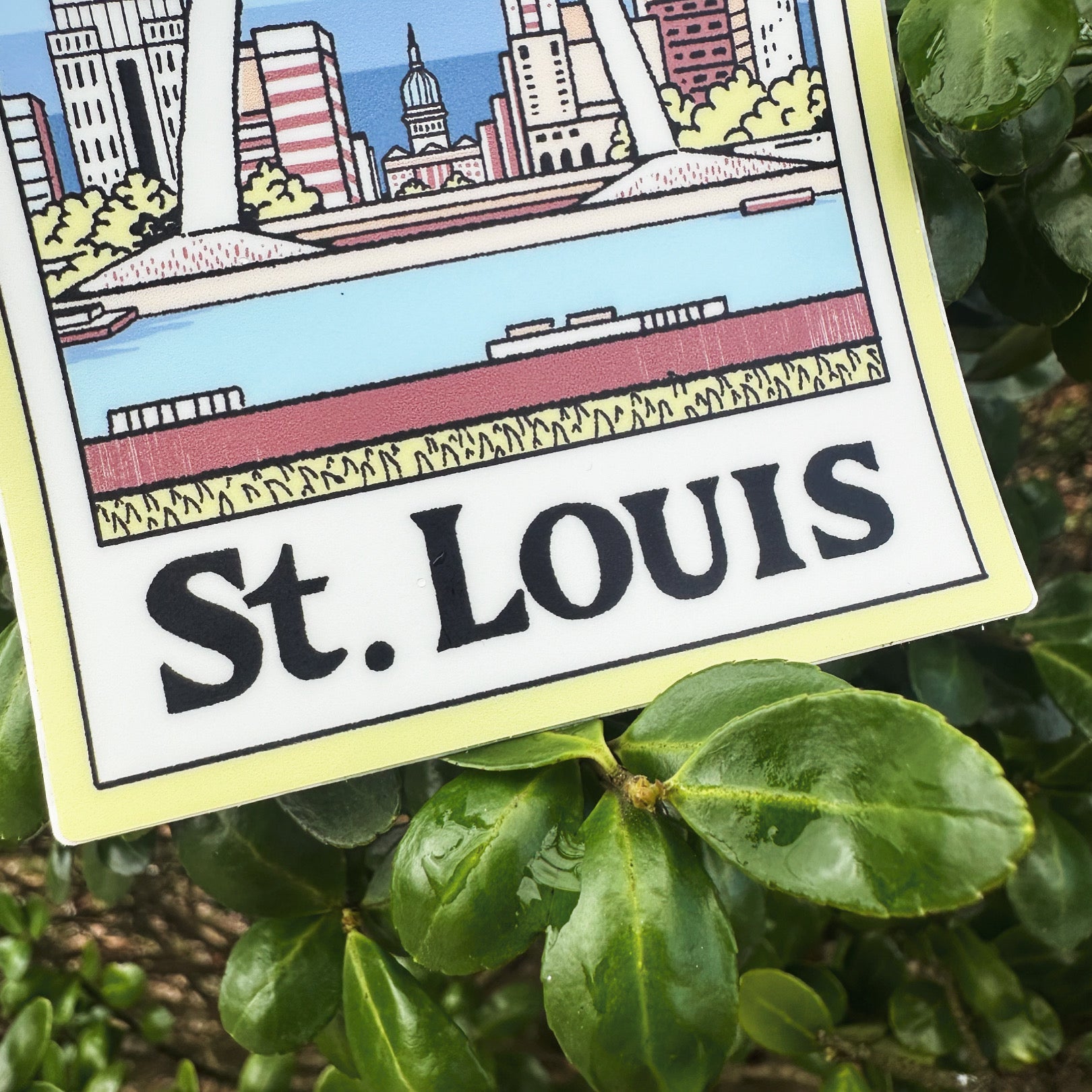 A St. Louis Picture - menottees