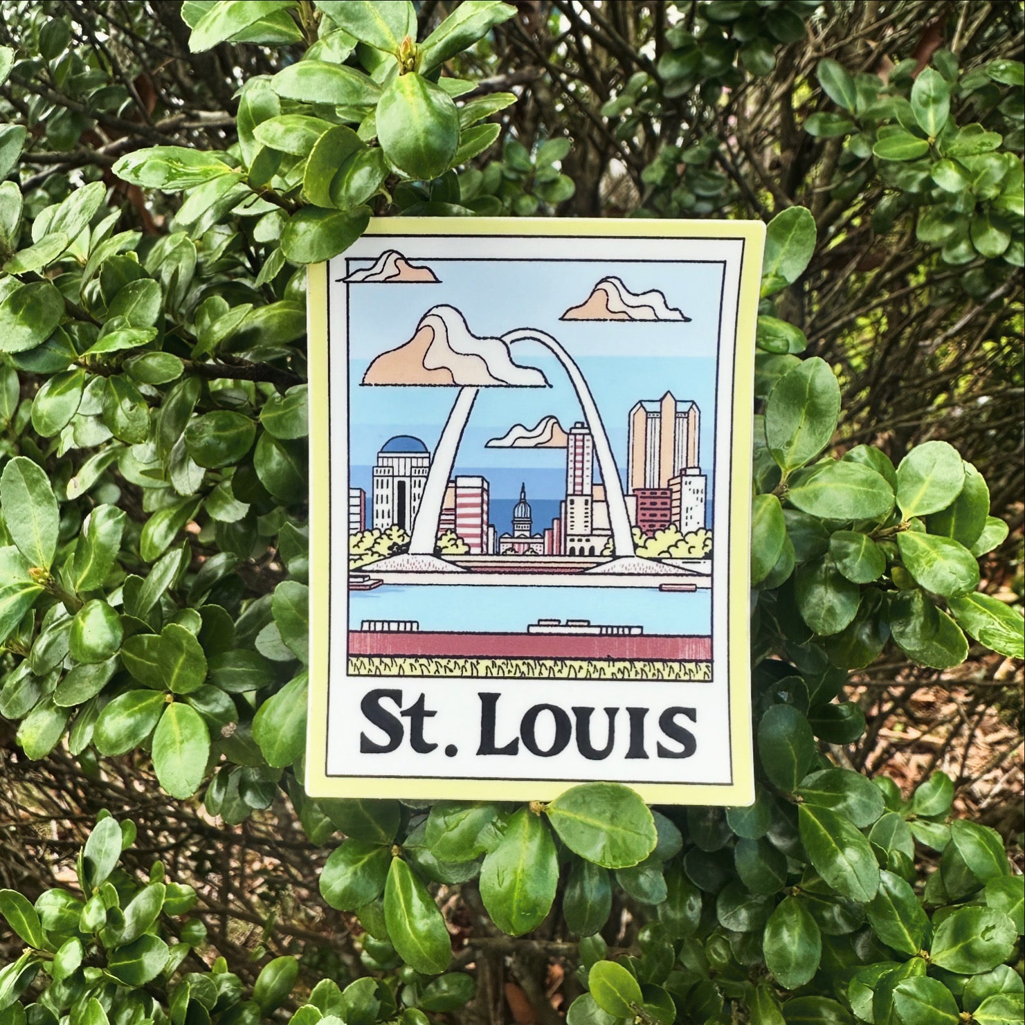 A St. Louis Picture - menottees