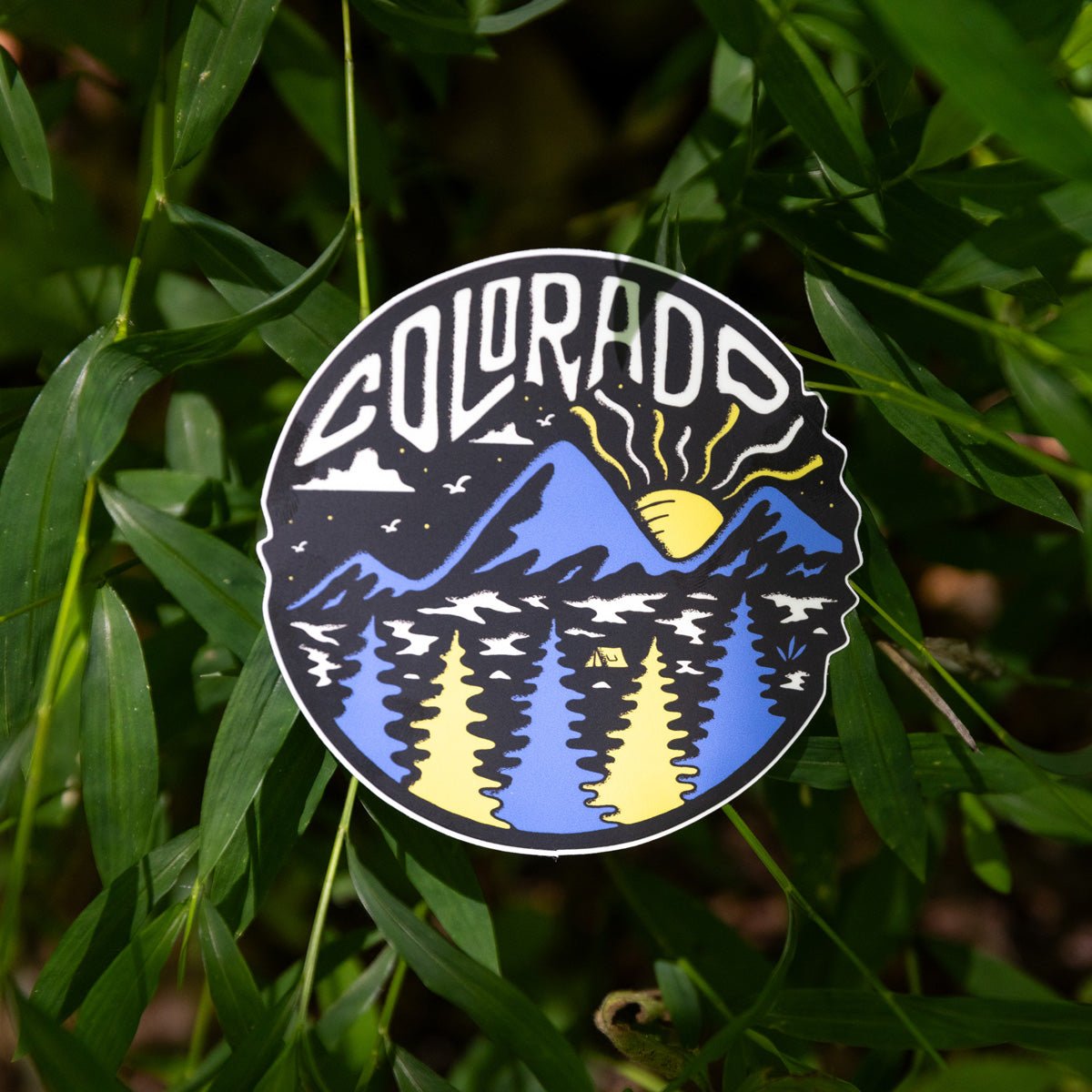 Campsite Colorado - menottees