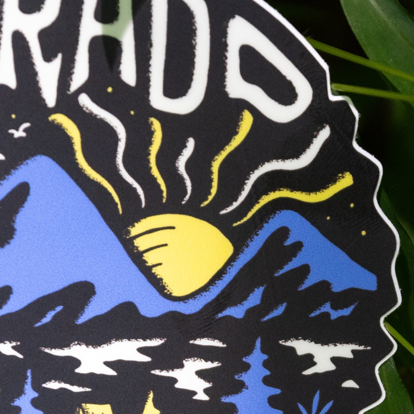 Campsite Colorado - menottees