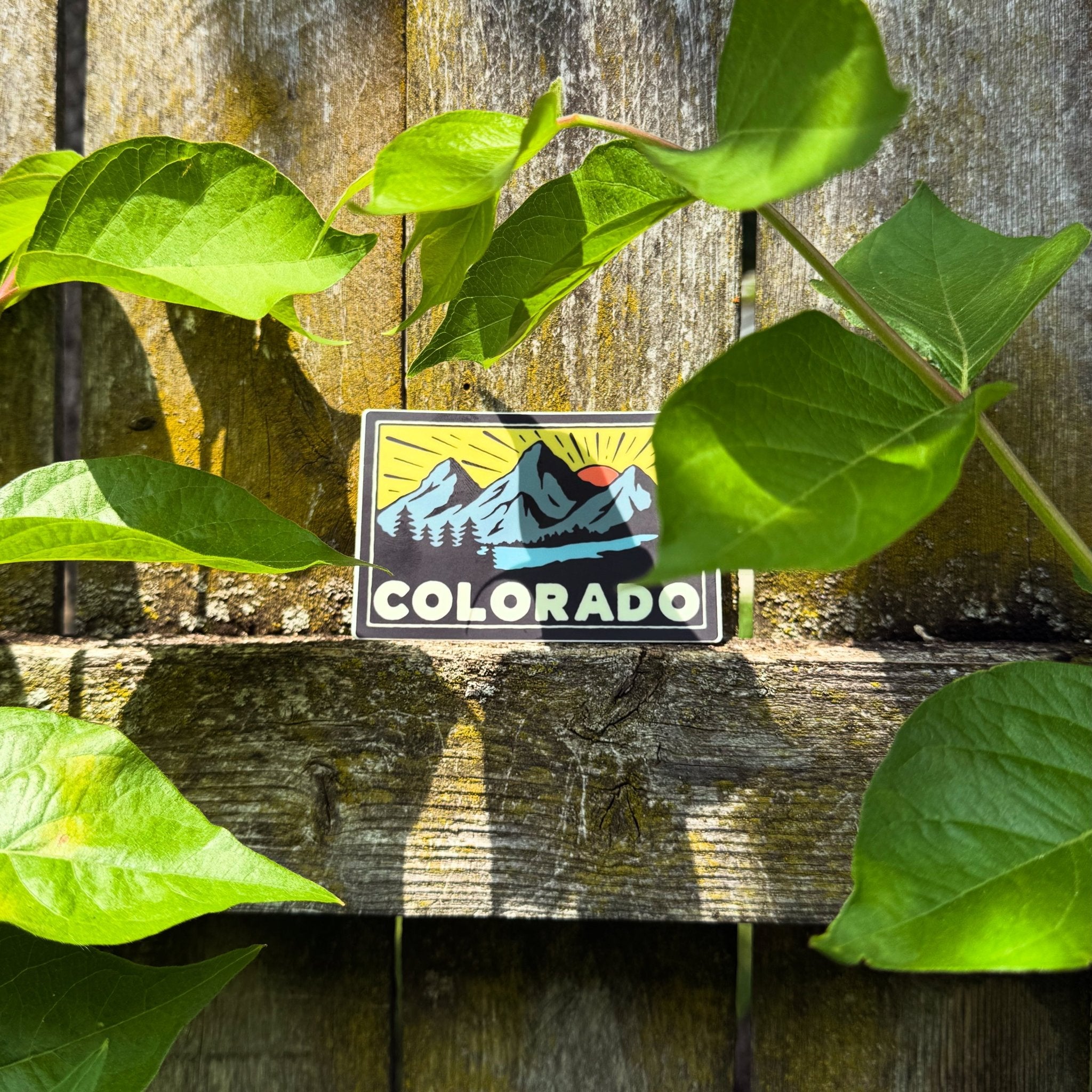 Colorado sticker on a wooden surface with green leaves