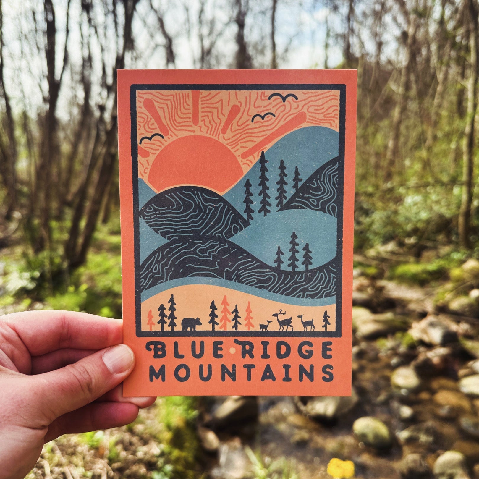 Day Ridge - menottees