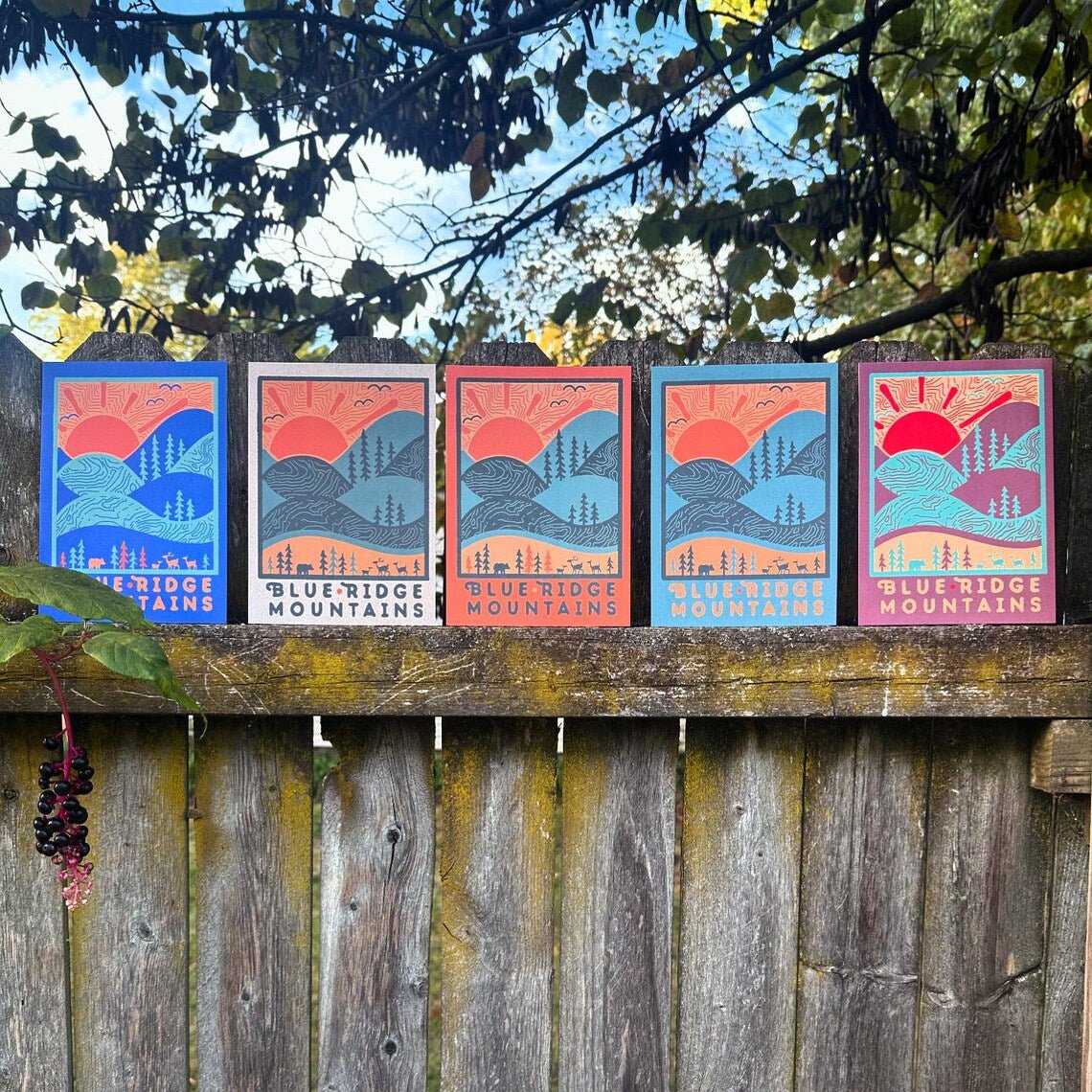 Five postcards arranged side by side outdoors, showing color variety