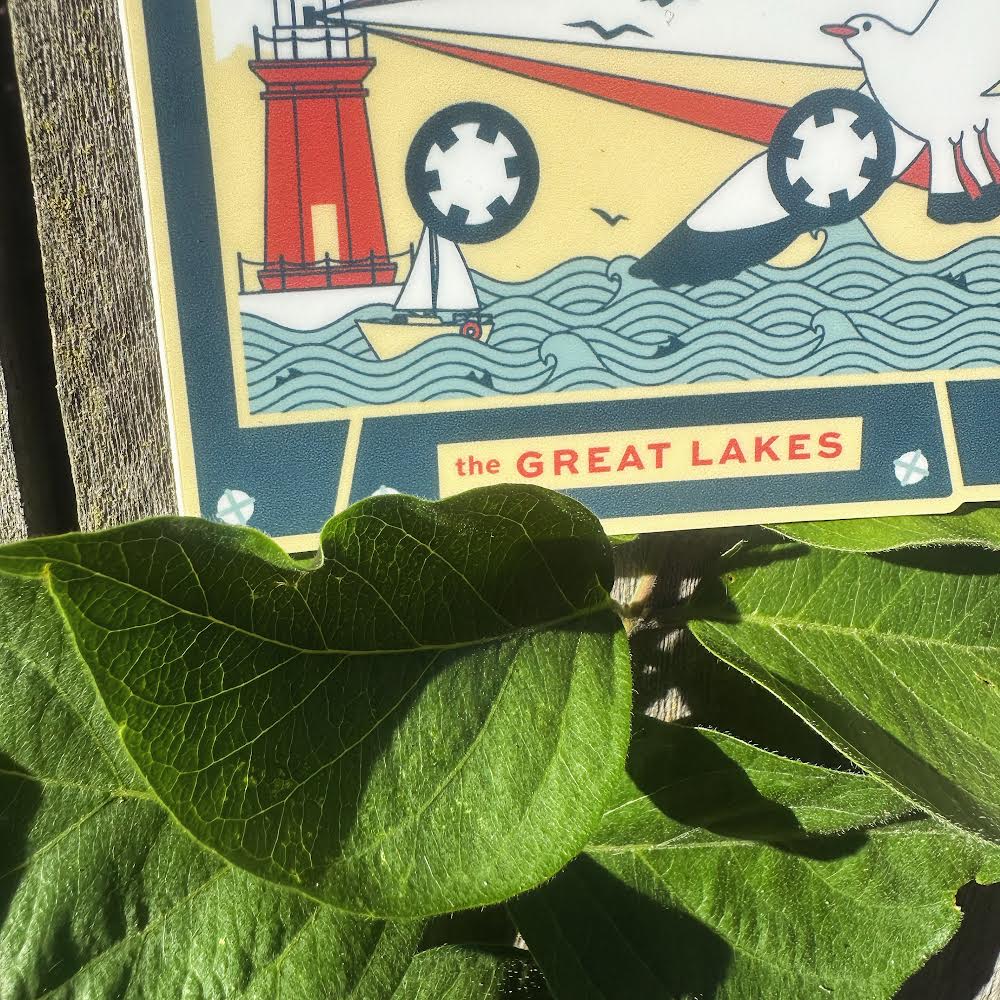 Great Lakes Tape - menottees