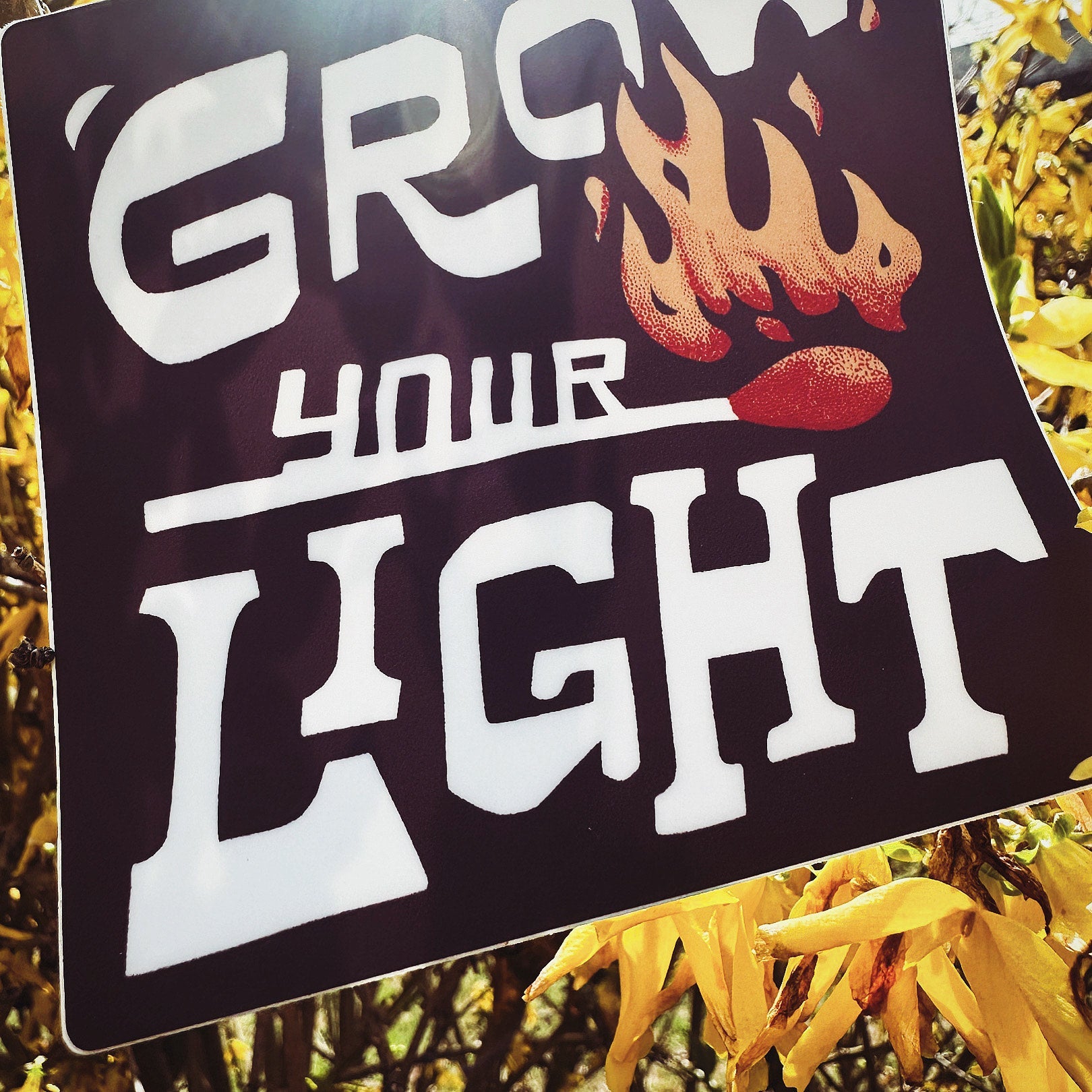 Grow Your Light - menottees