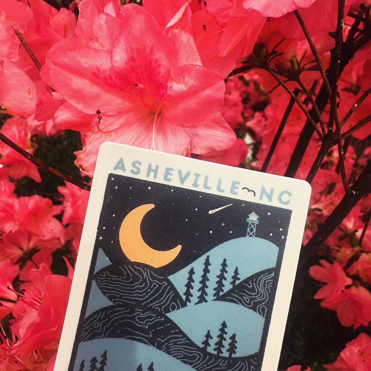 Night Ridge (Asheville) - menottees