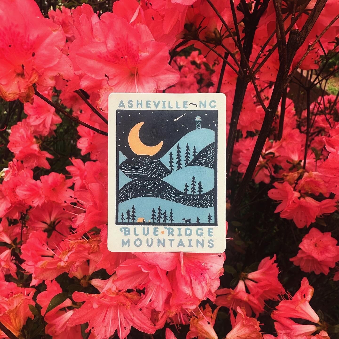 Night Ridge (Asheville) - menottees