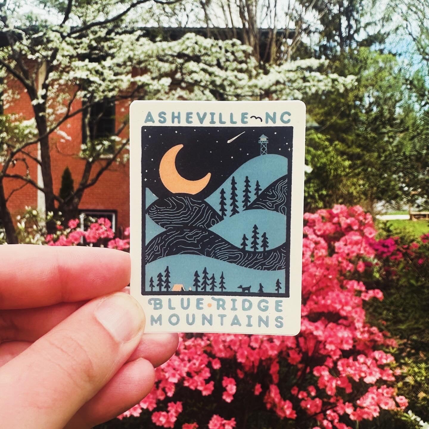 Night Ridge (Asheville) - menottees
