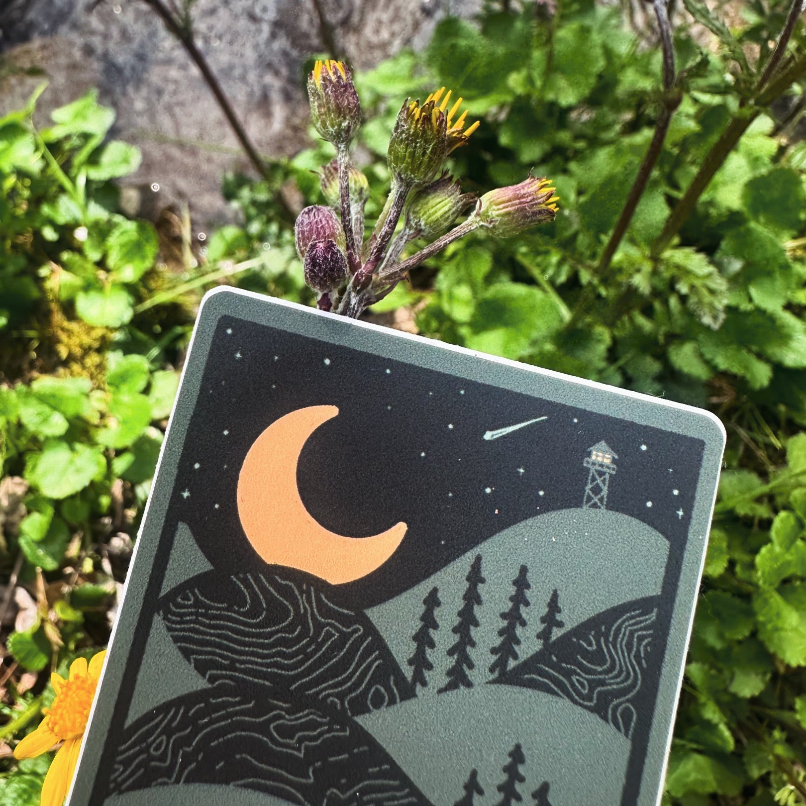 Night Ridge (The Yellow Moon) - menottees