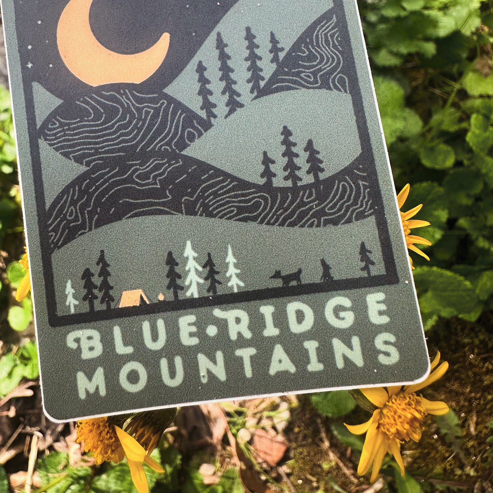 Night Ridge (The Yellow Moon) - menottees