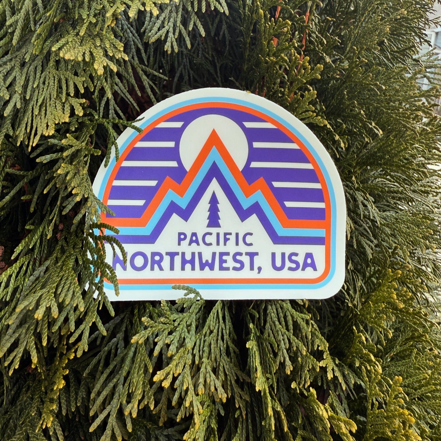 Peaks and Pines - menottees