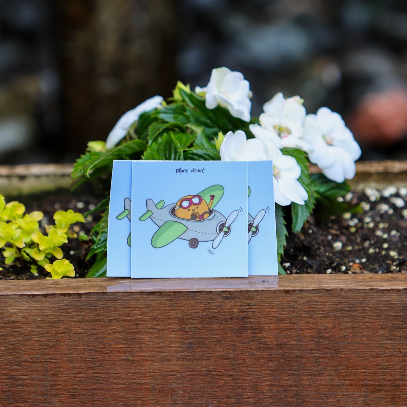 Plane Donut - Menottees