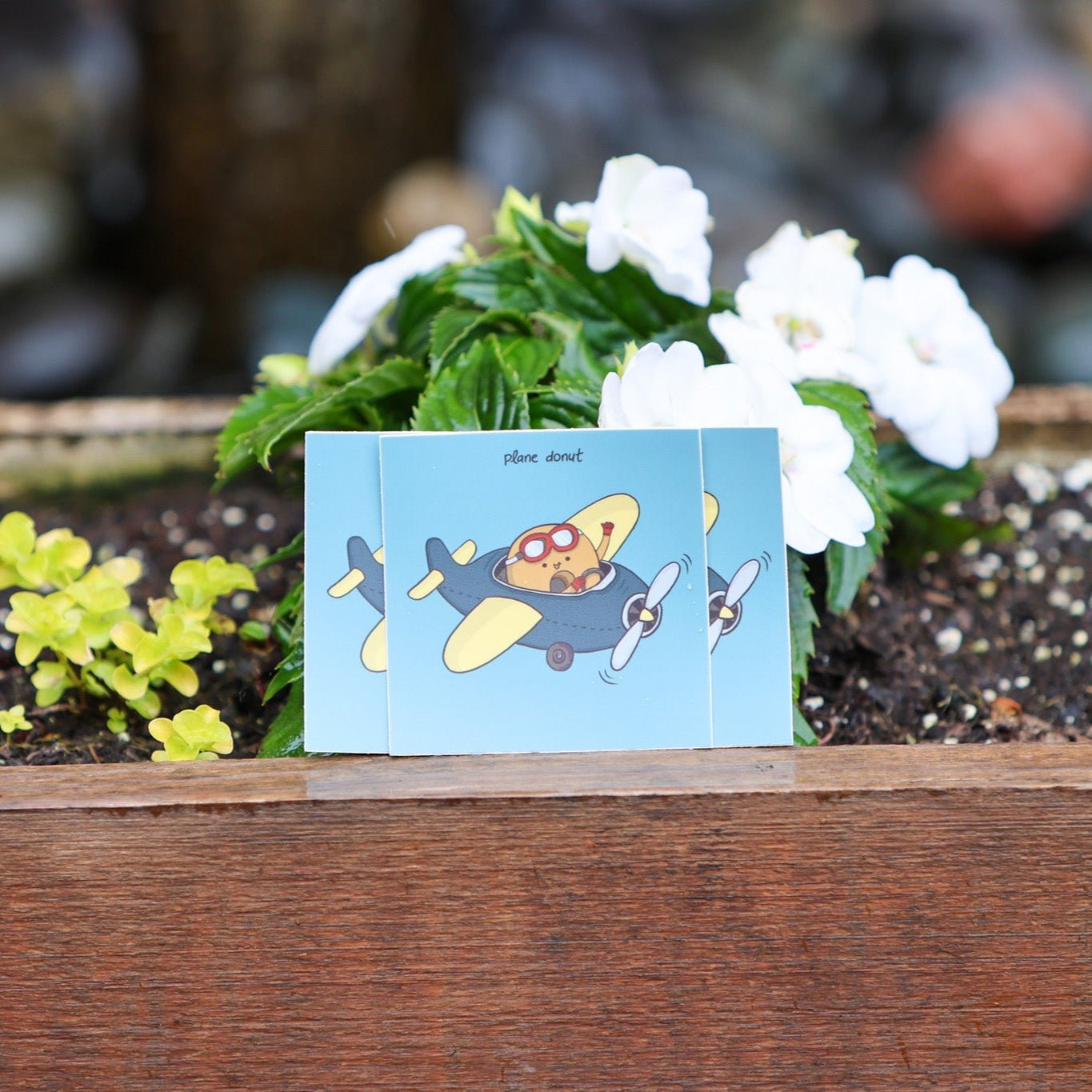 Plane Donut - Menottees