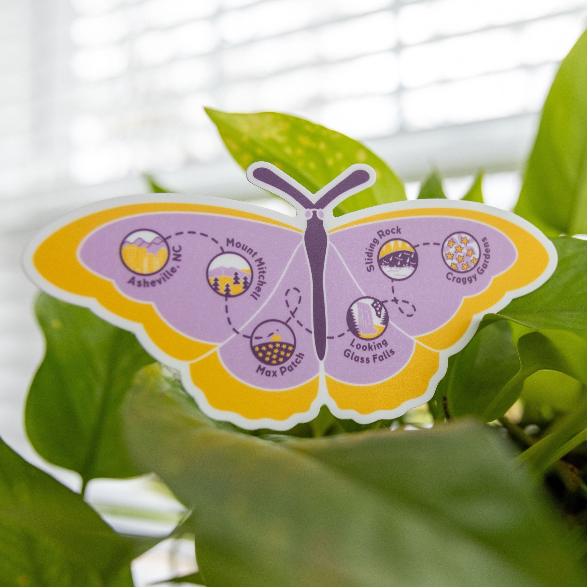 Spring Butterfly Trail - menottees