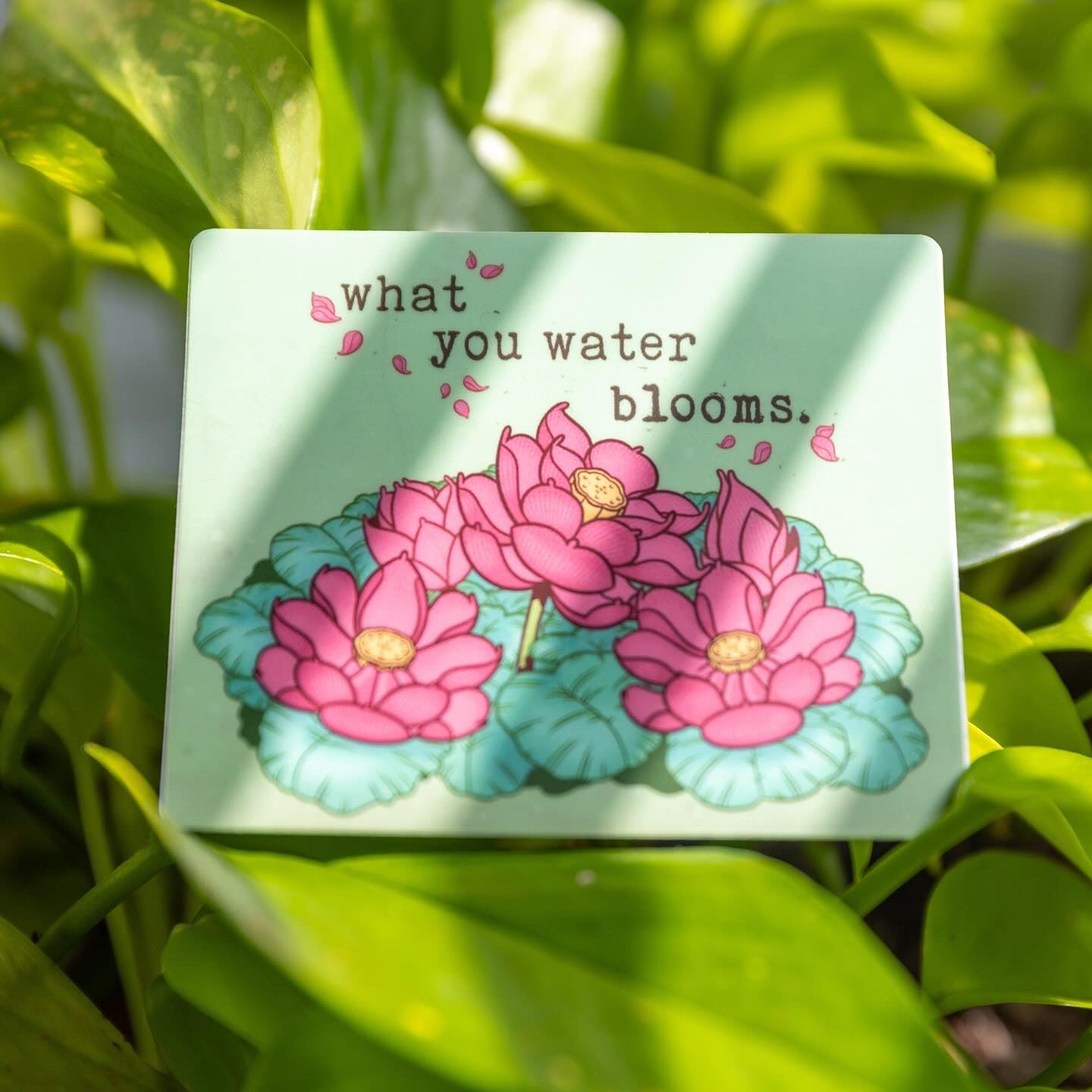 What You Water Blooms - menottees