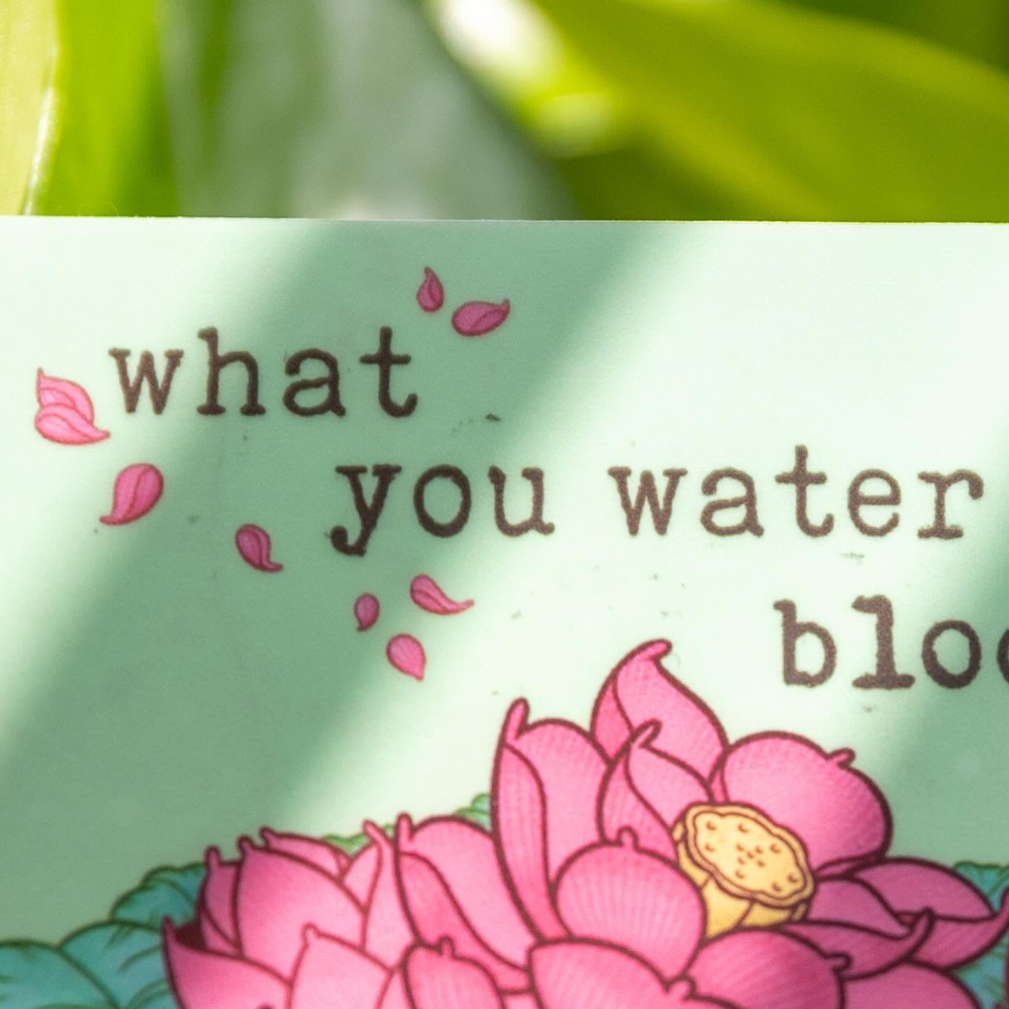 What You Water Blooms - menottees