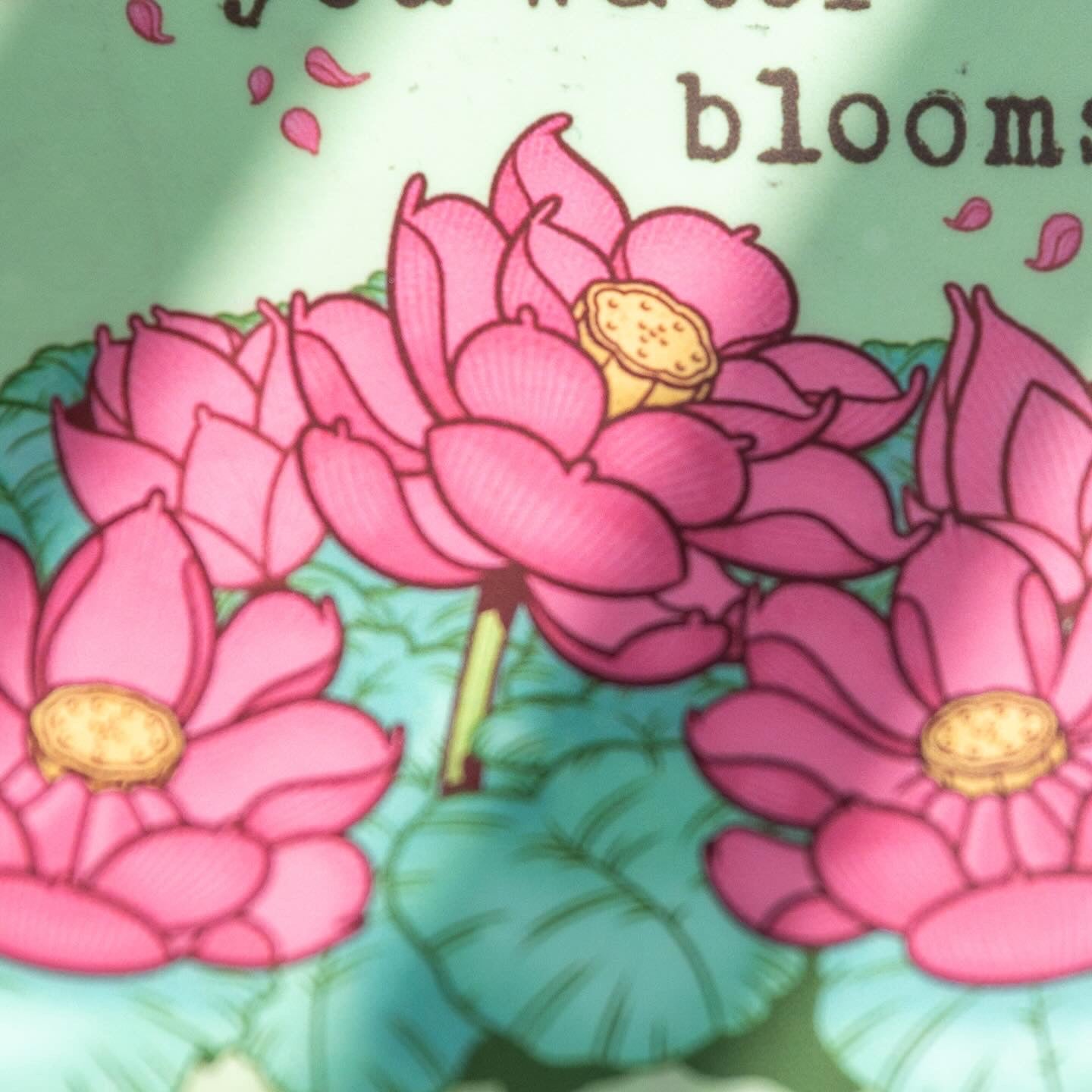 What You Water Blooms - menottees