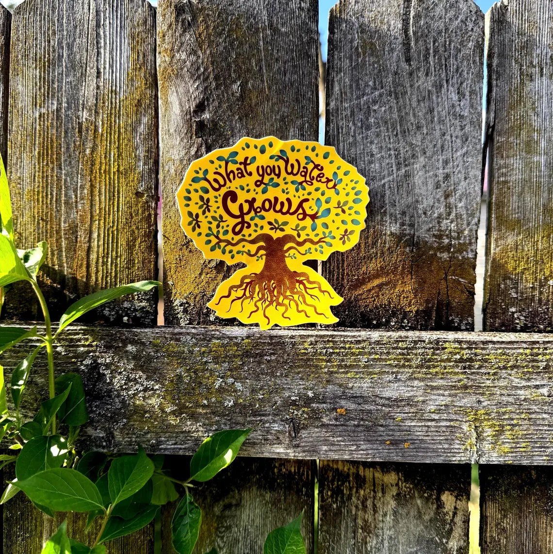 What You Water Grows - menottees