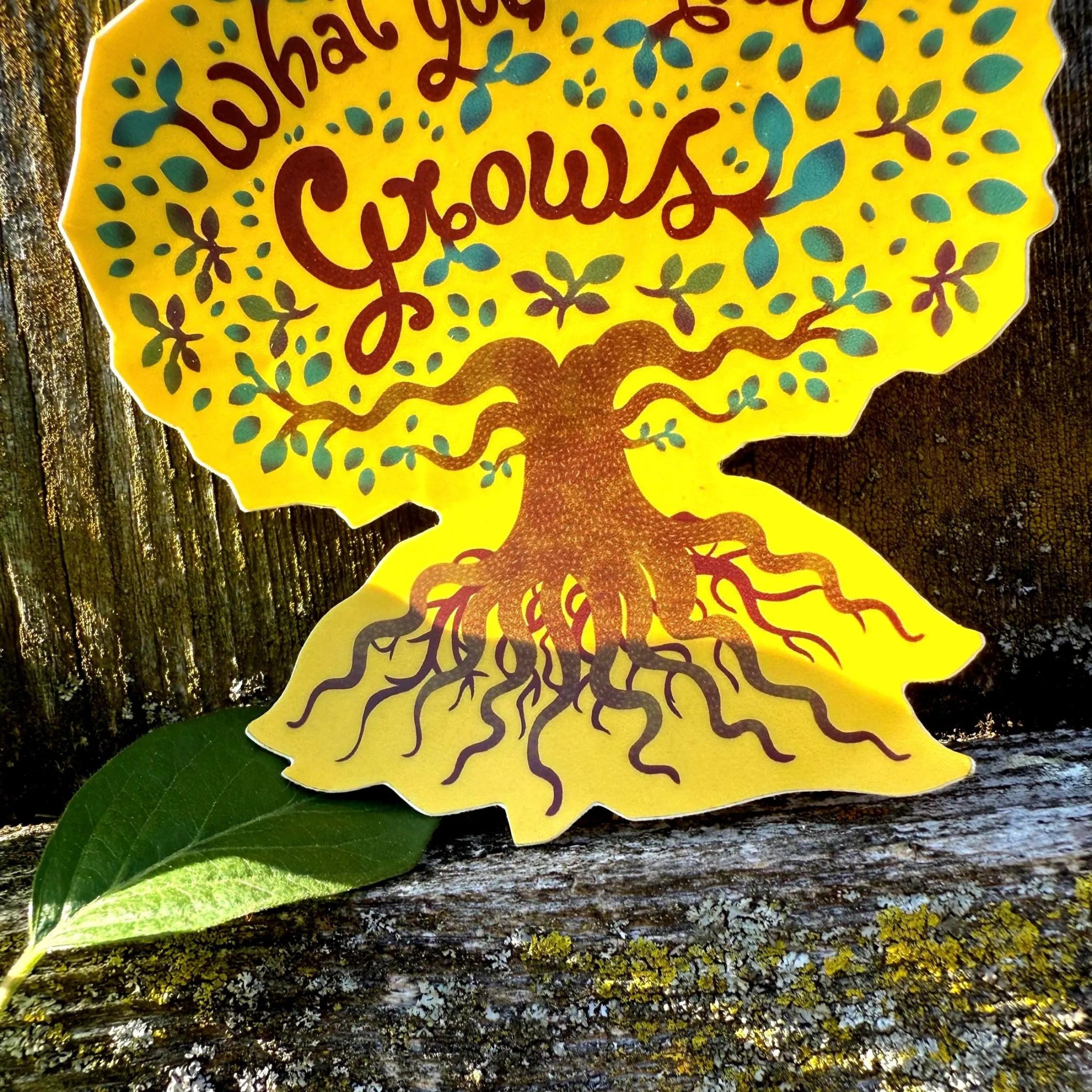 What You Water Grows - menottees