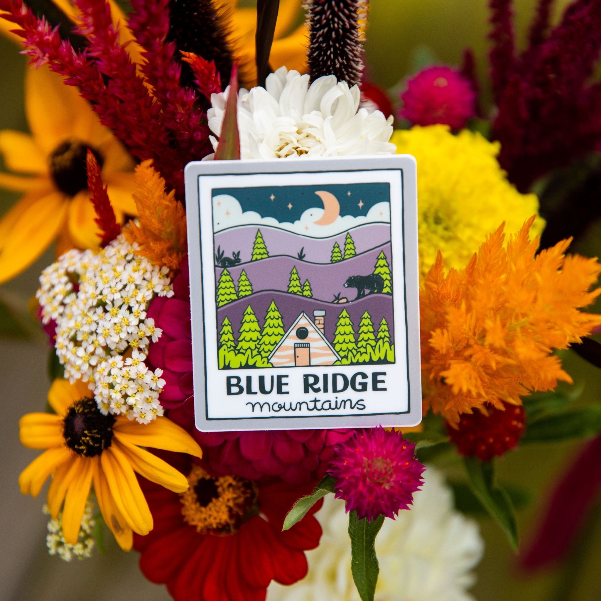 A Blue Ridge Night Polaroid - menottees