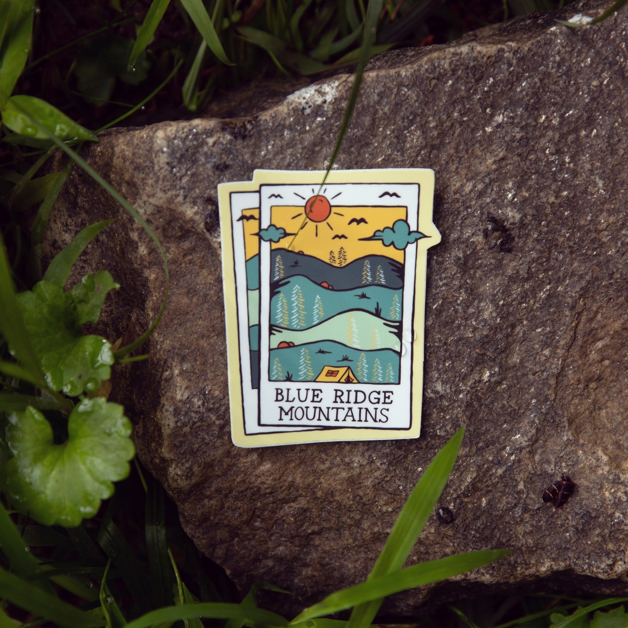 A Blue Ridge Polaroid - menottees
