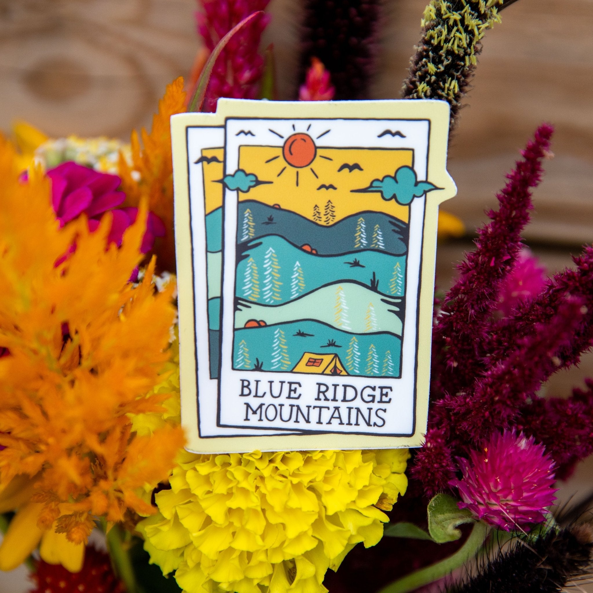 A Blue Ridge Polaroid (Sunny Mountain) - menottees