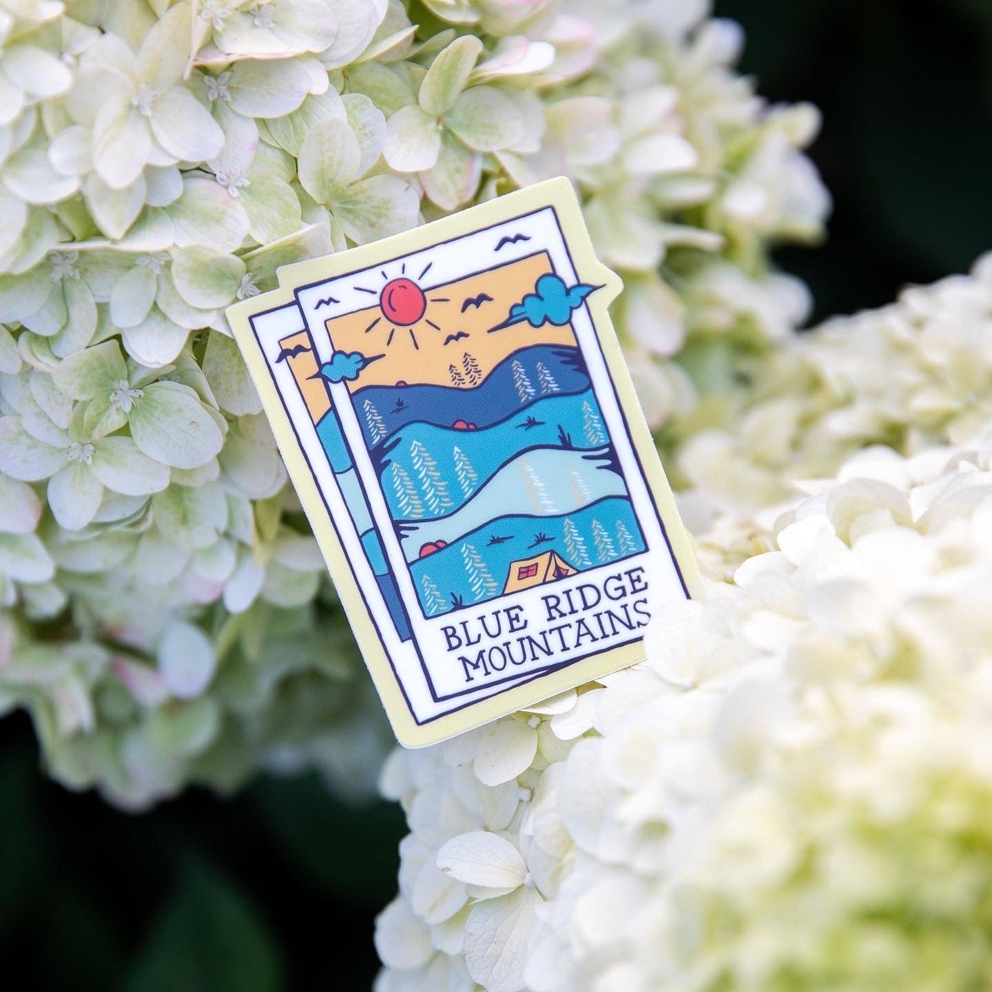 A Blue Ridge Polaroid (Sunny Mountain) - menottees