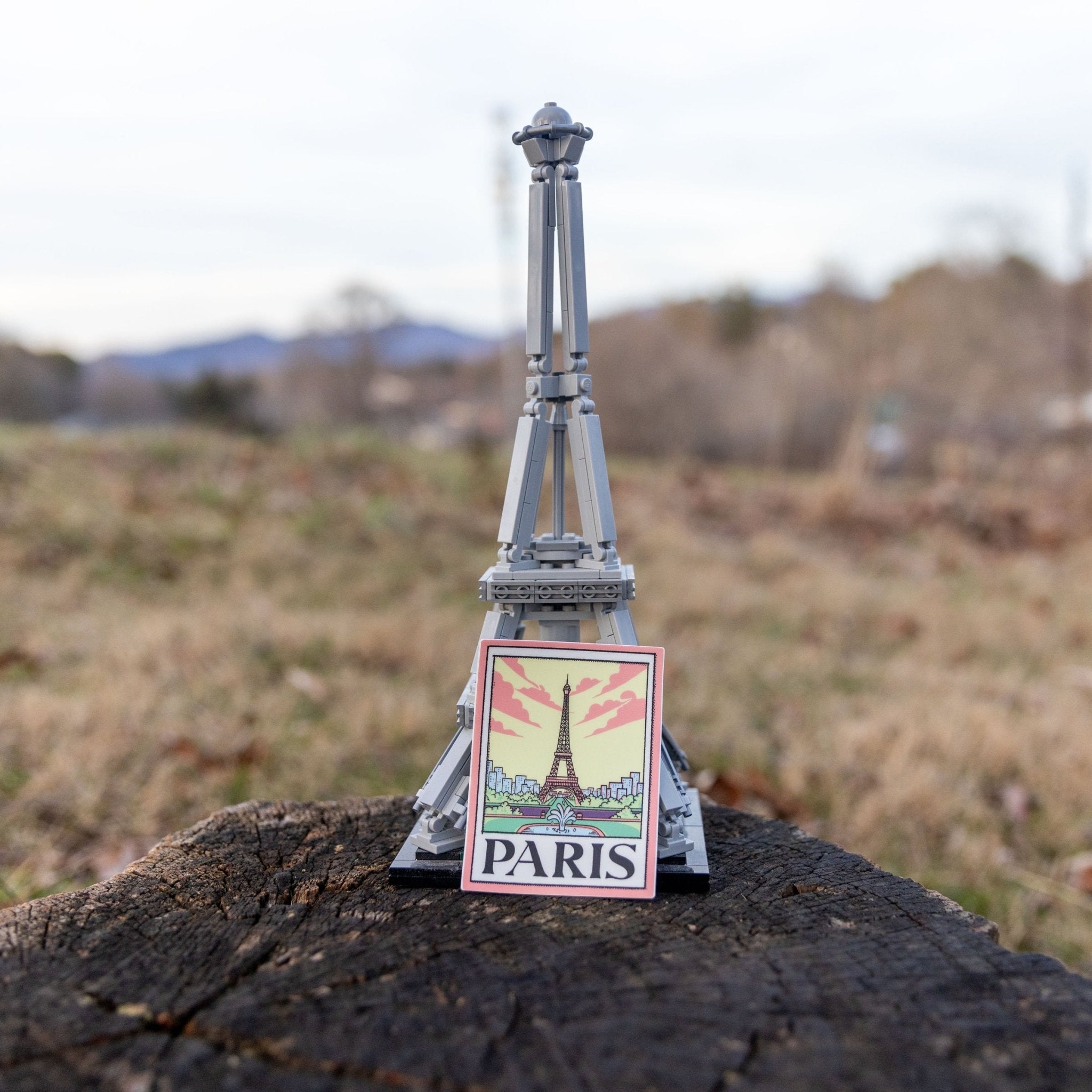 A Paris Picture - menottees