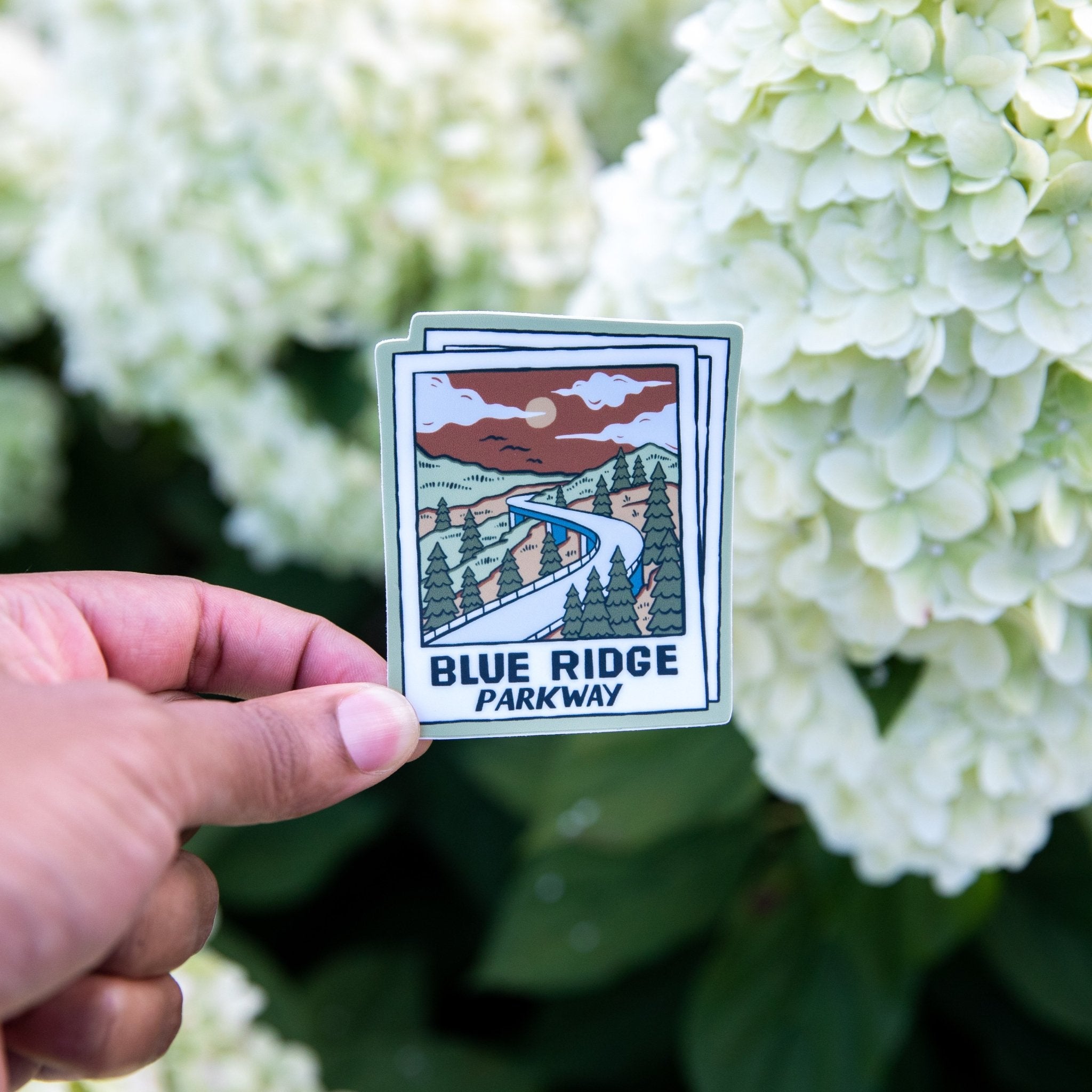 A Parkway Polaroid - menottees