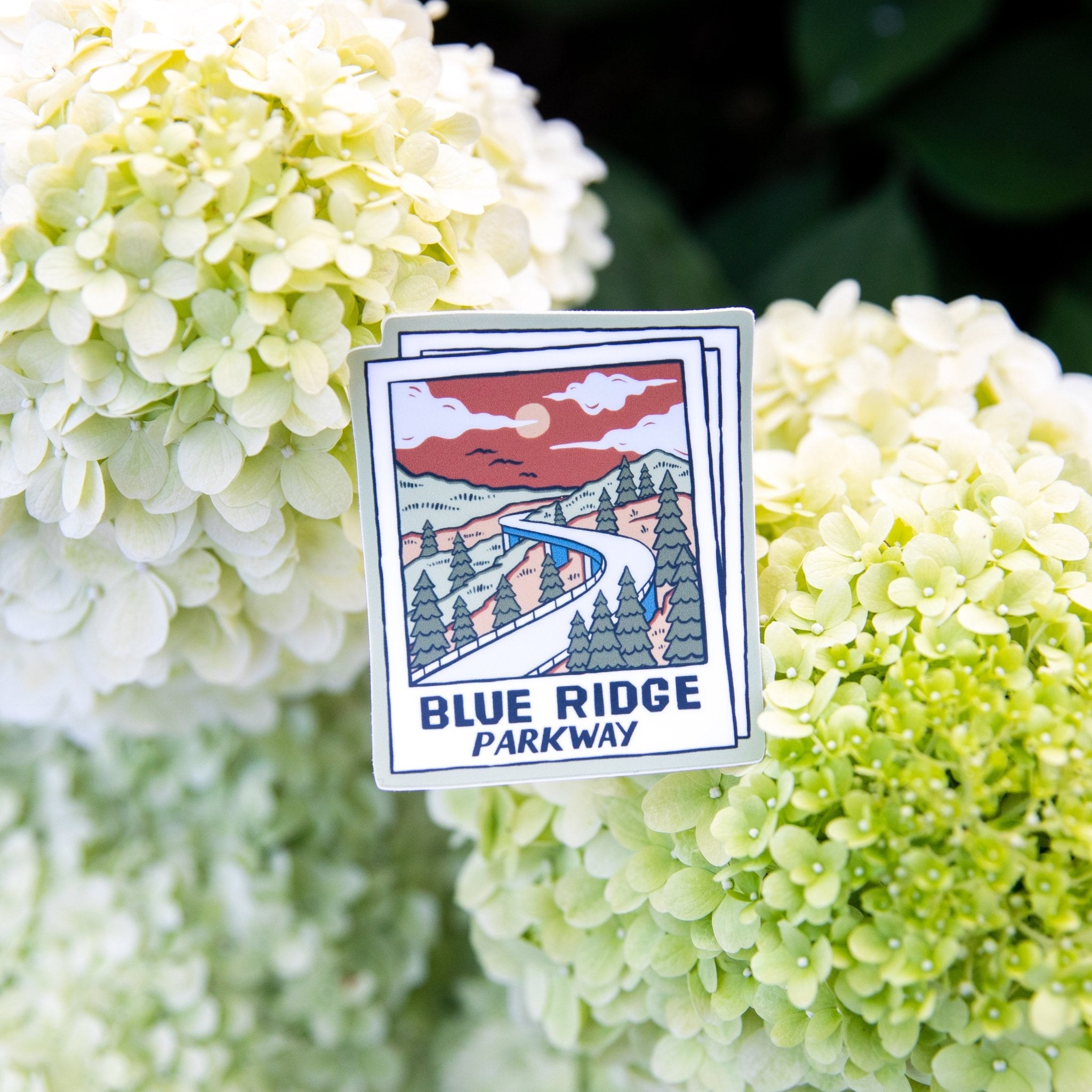 A Parkway Polaroid - menottees