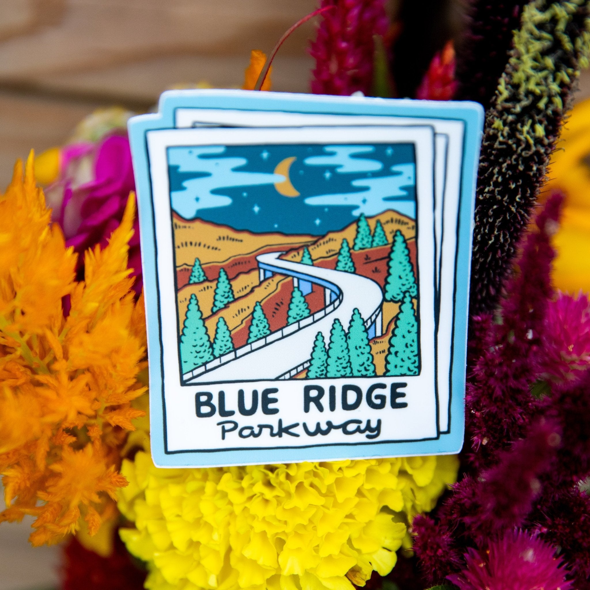 A Parkway Polaroid (Night Edition) - menottees