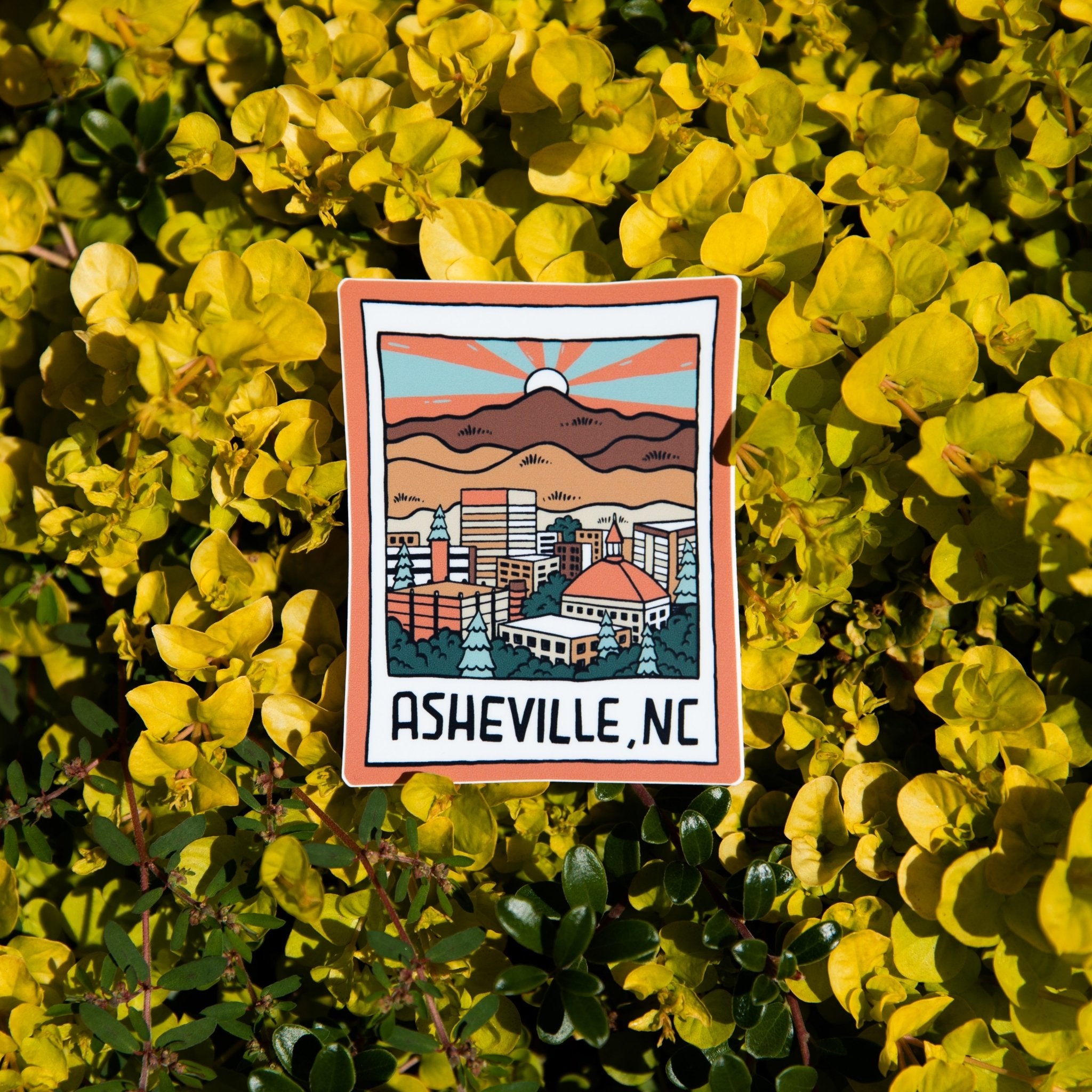 Asheville Polaroid - menottees