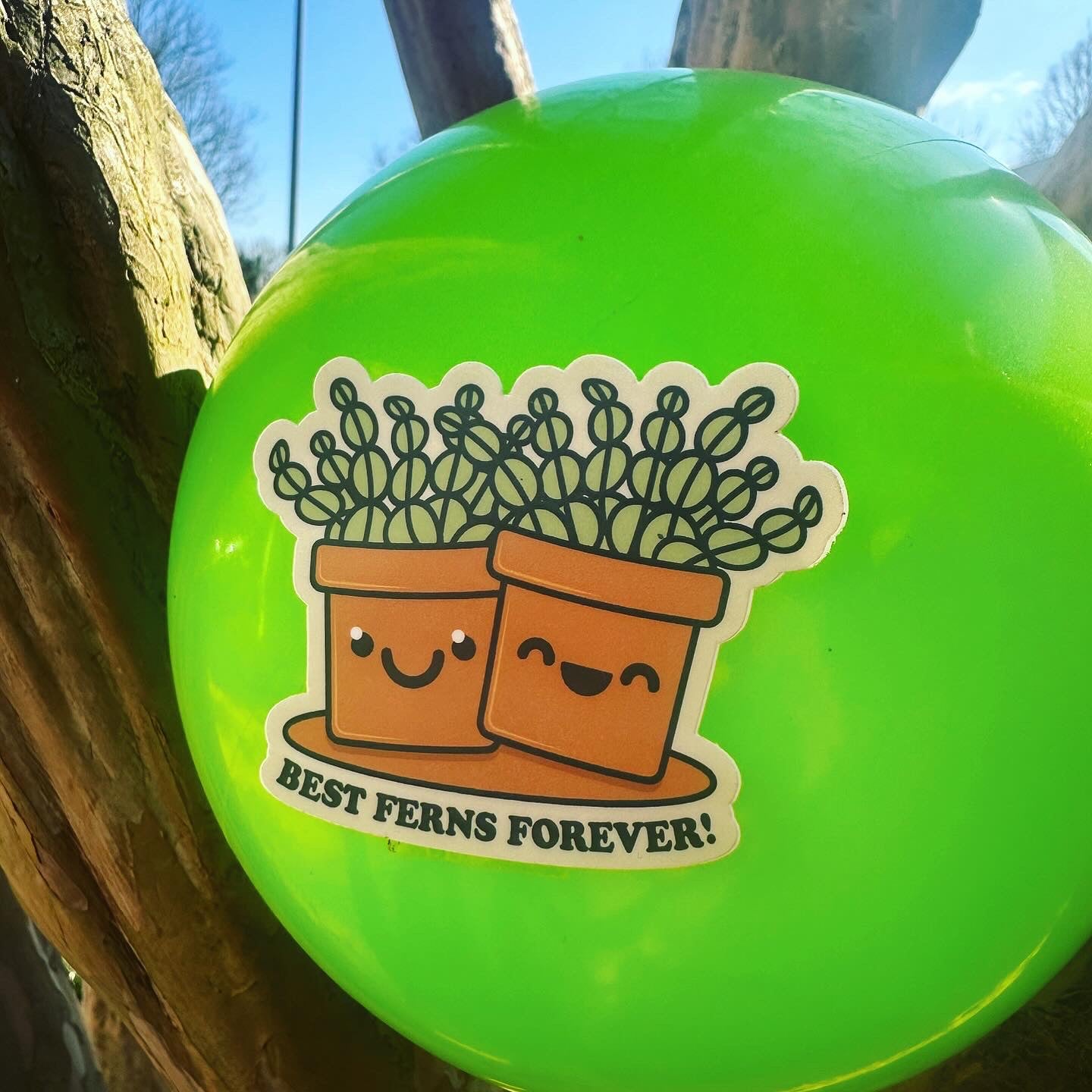Best Ferns Forever - menottees