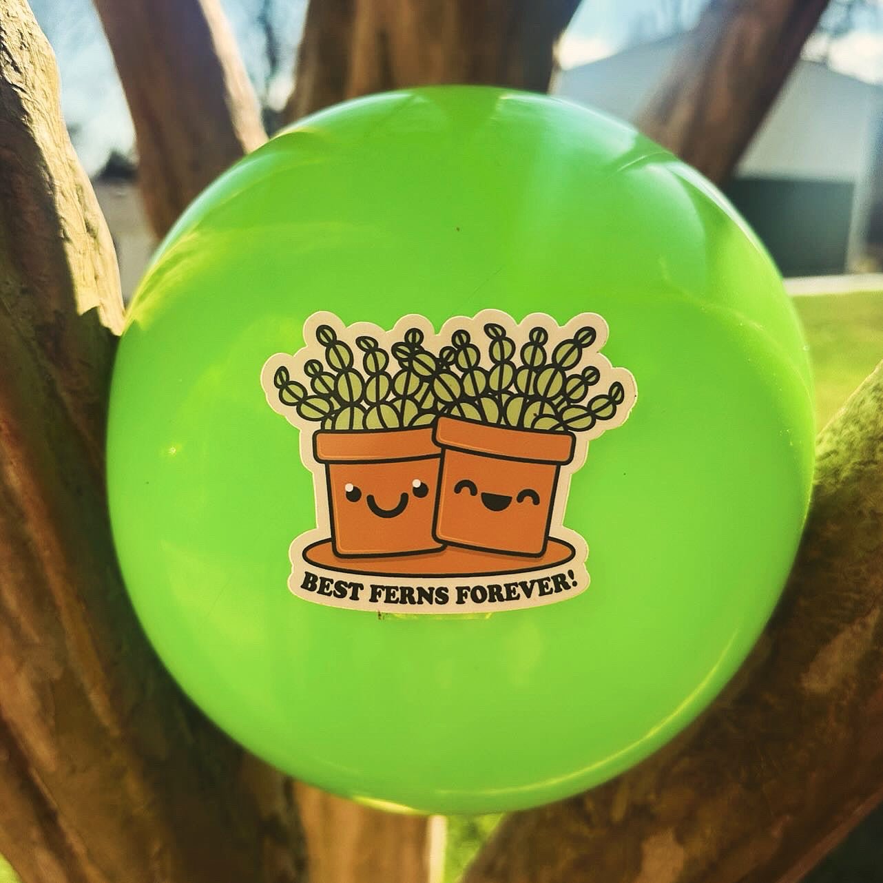 Best Ferns Forever - menottees