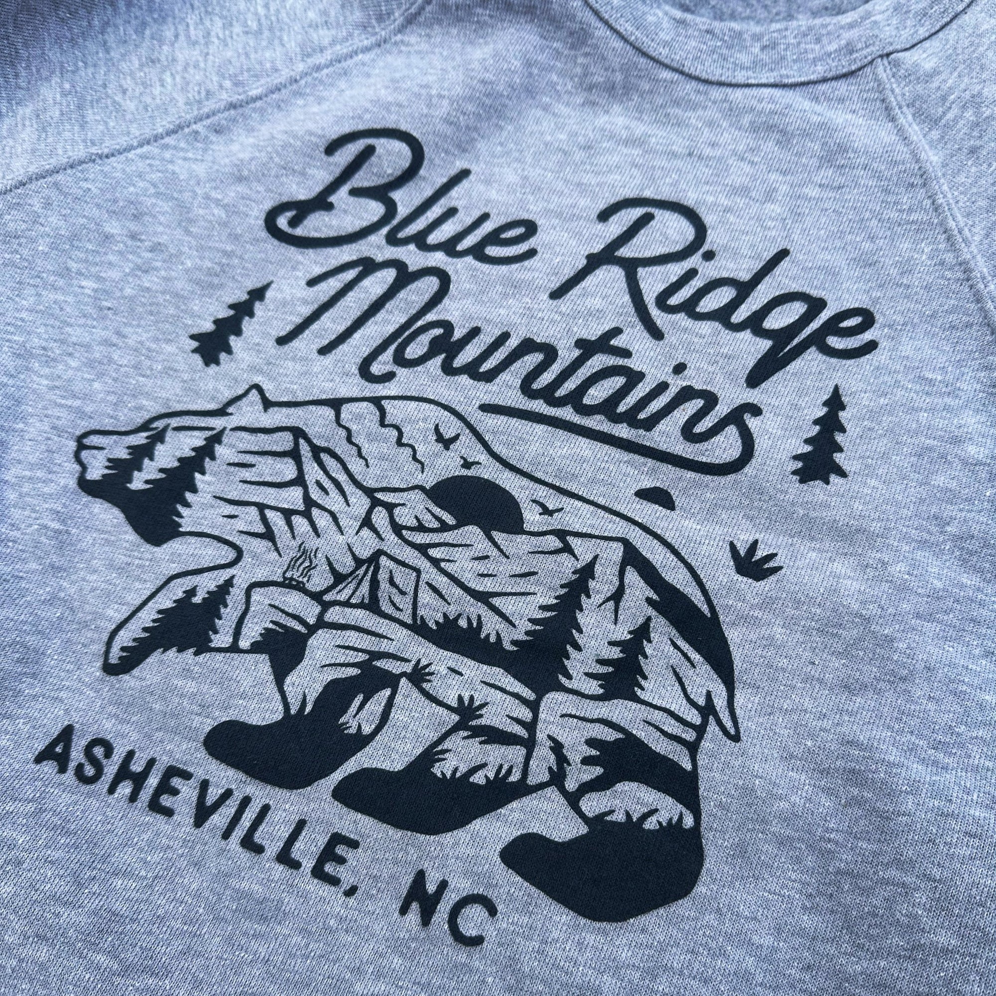 Blue Ridge Mountains Bear - menottees
