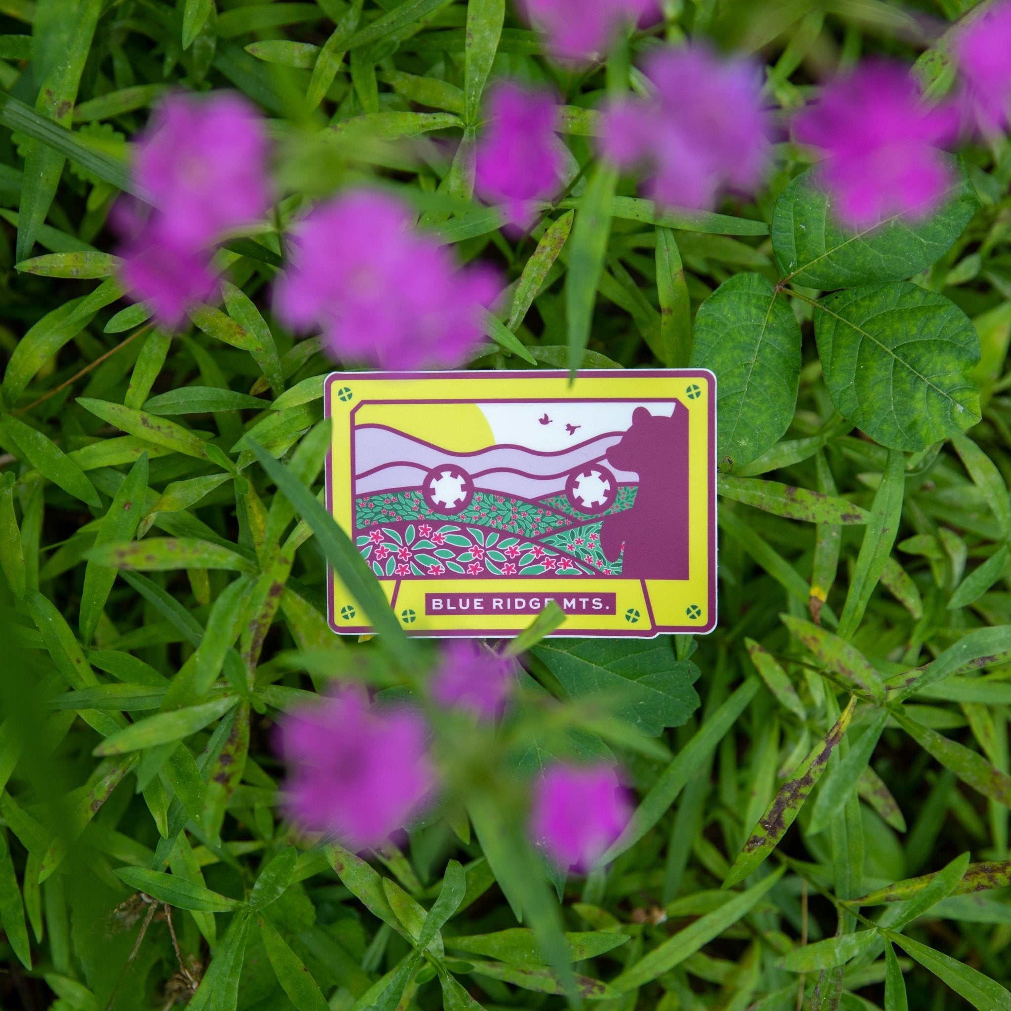 Blue Ridge Tape - menottees