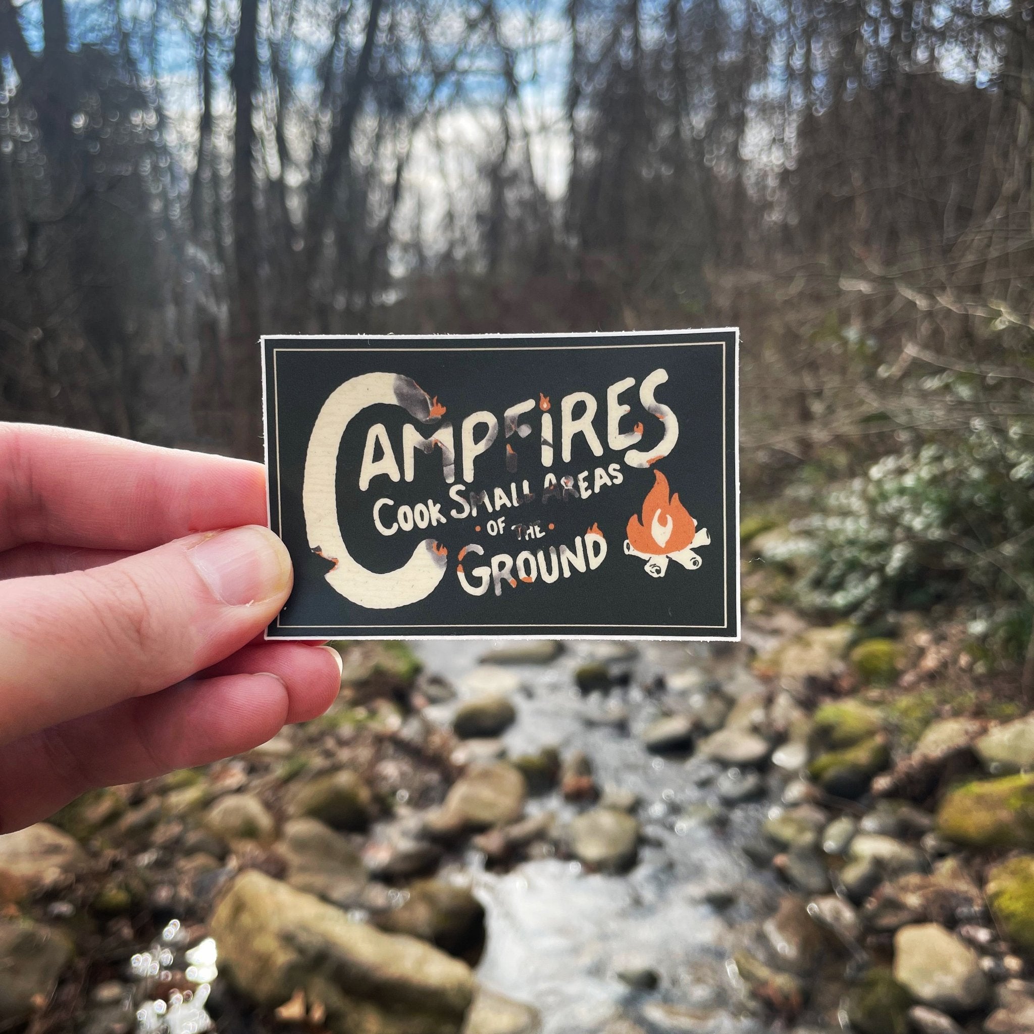 Campfires Cook Small Areas of the Ground - menottees