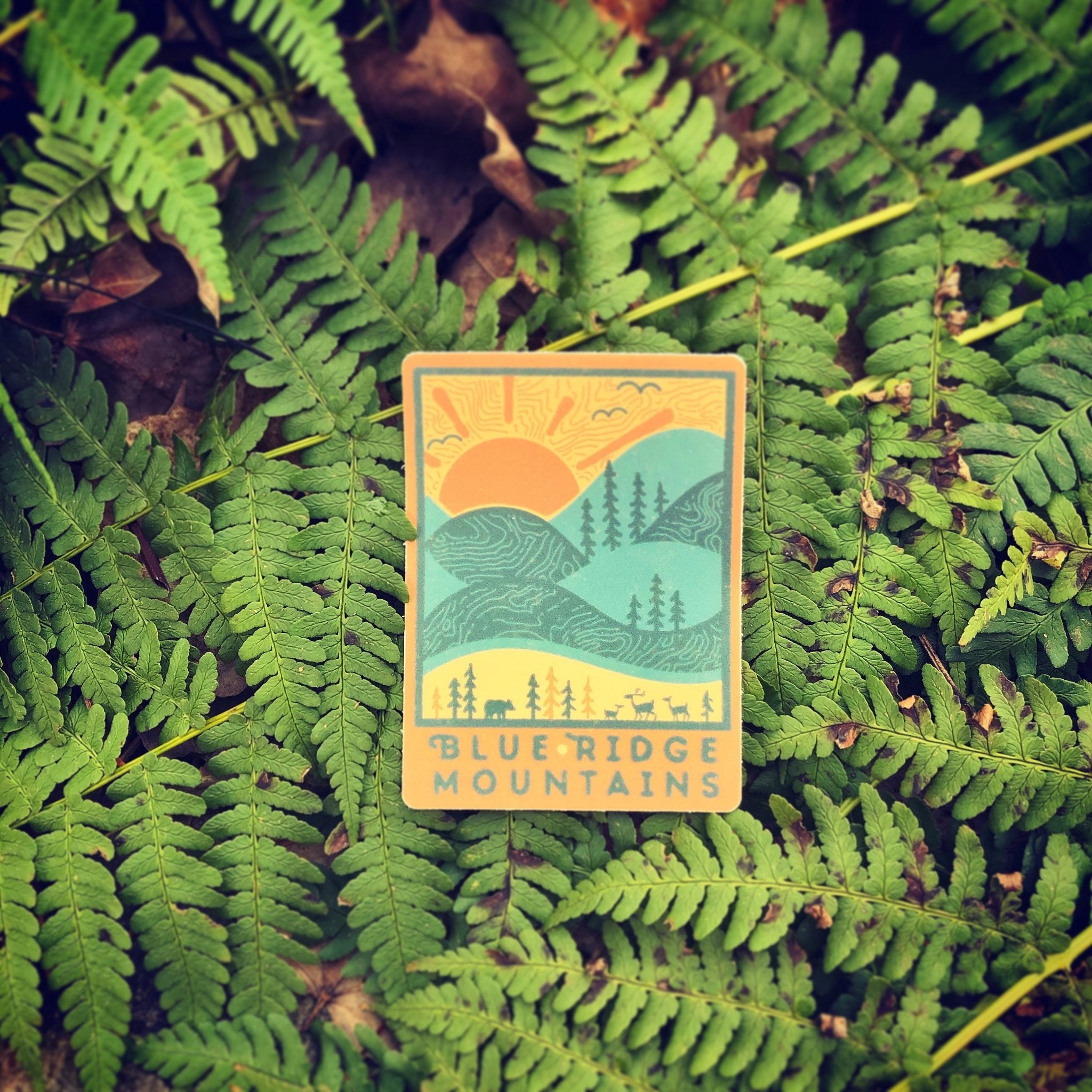 Day Ridge - menottees