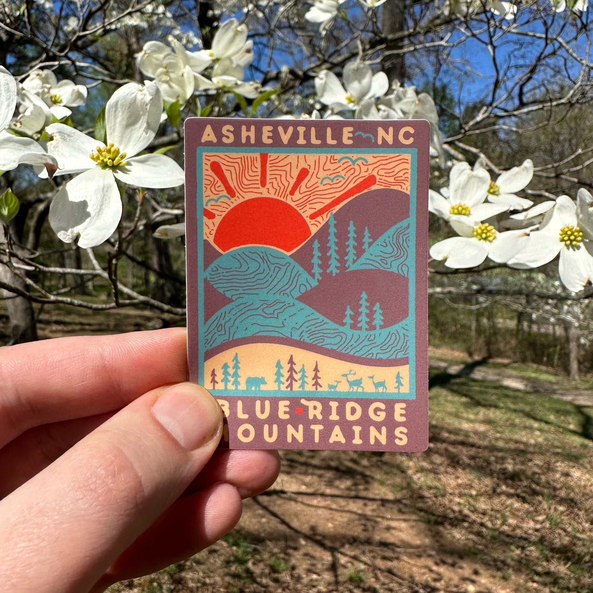 Day Ridge (Asheville) - menottees