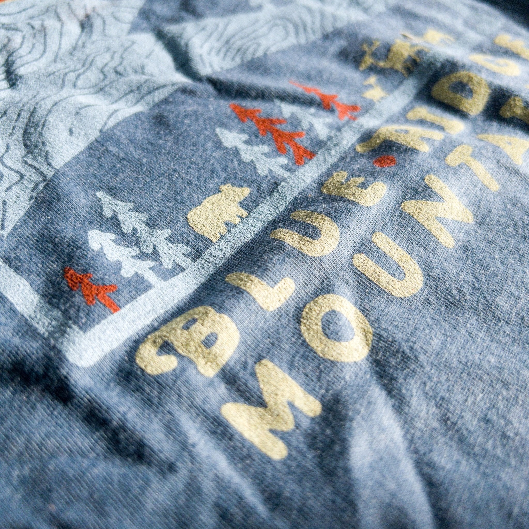 Day Ridge (Asheville) - menottees