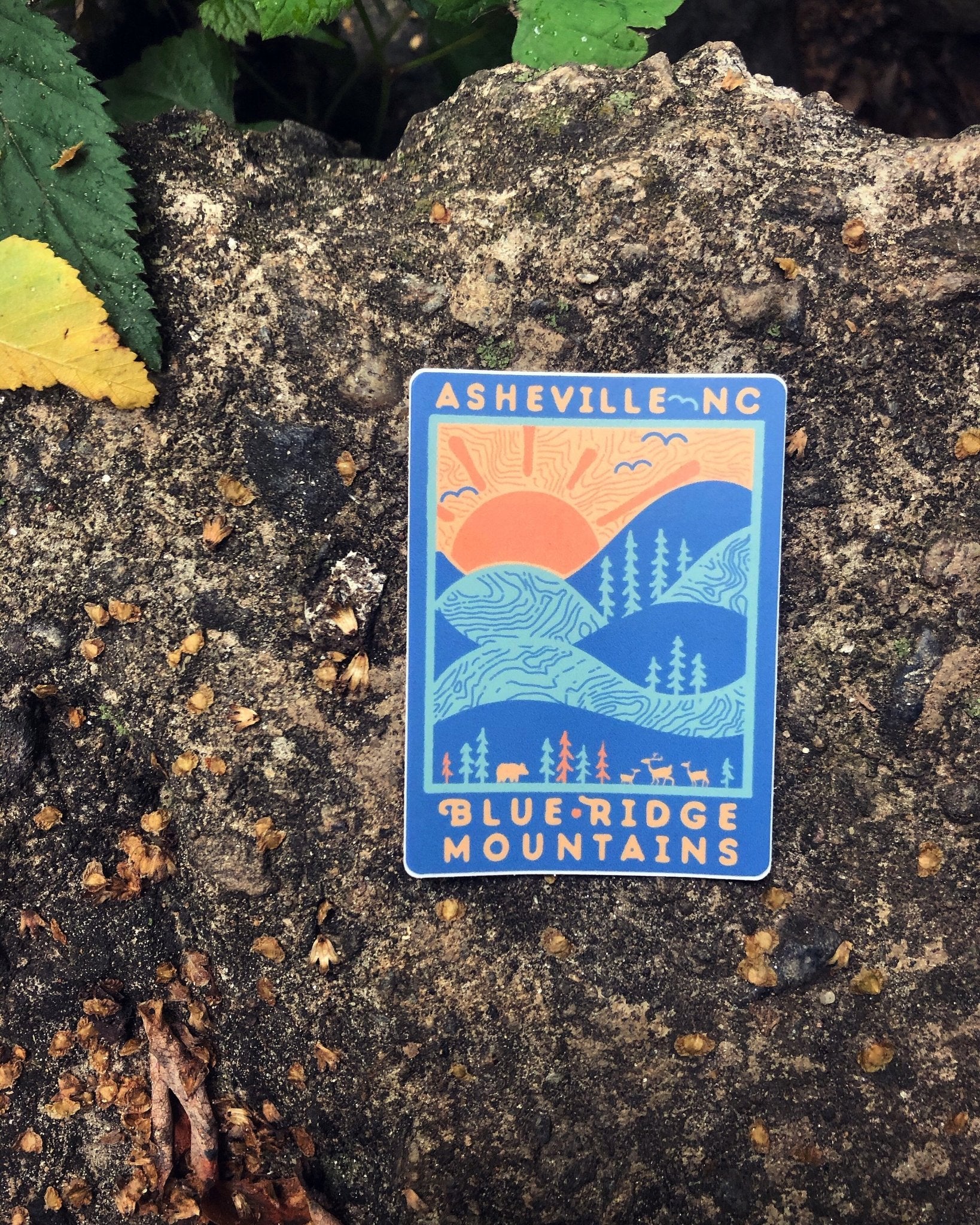 Day Ridge (Asheville) - menottees