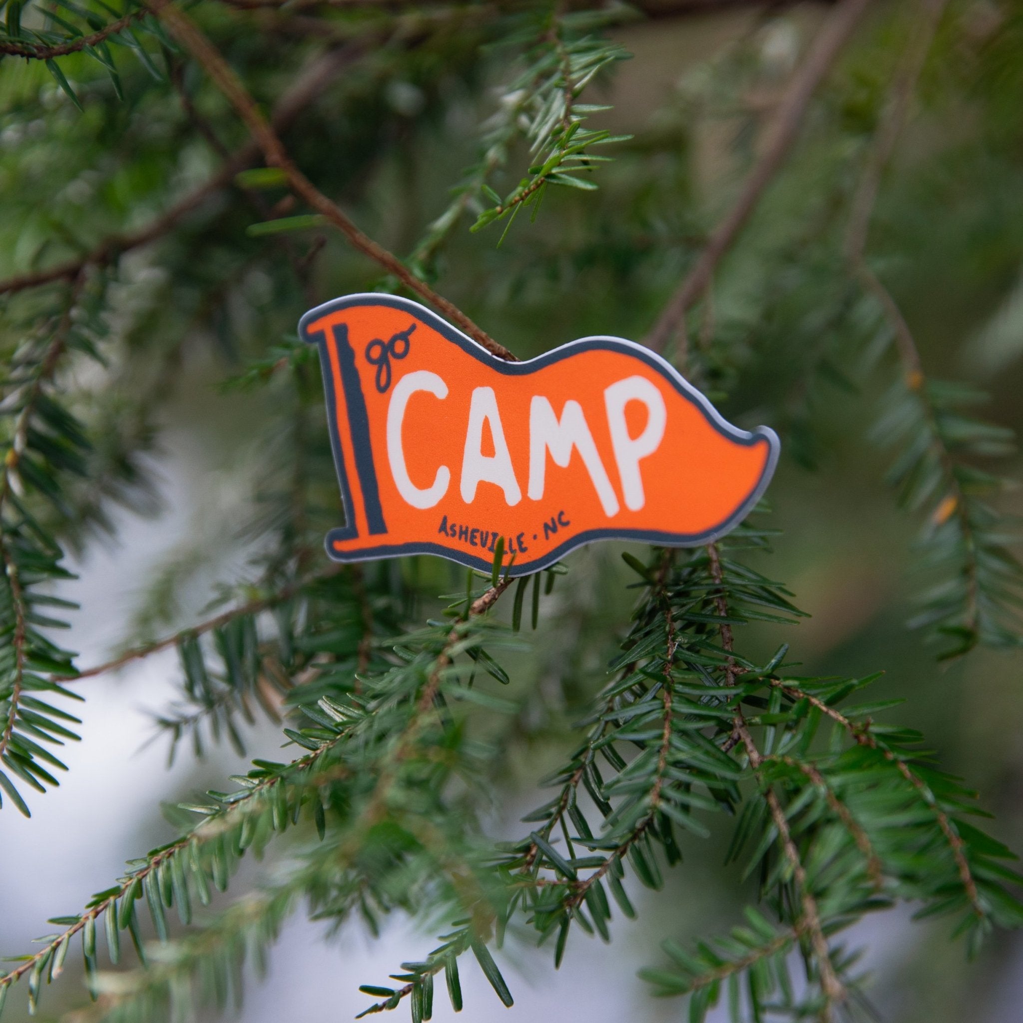 Go Camp! (Asheville) - menottees