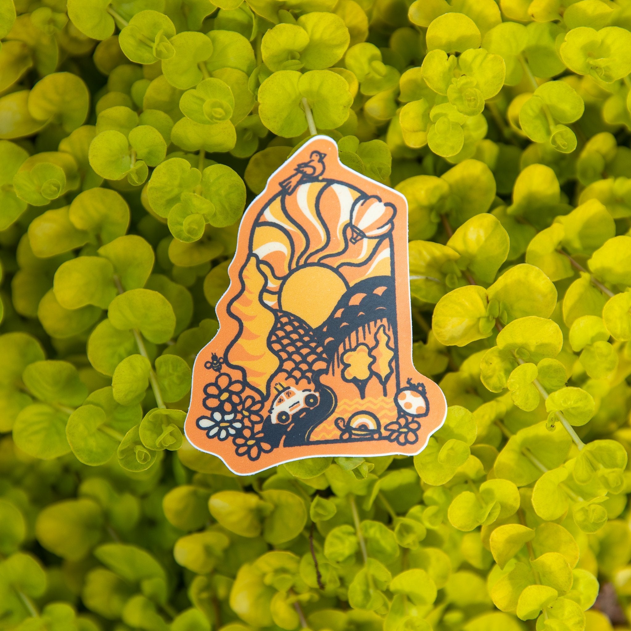 Groovy Day - menottees